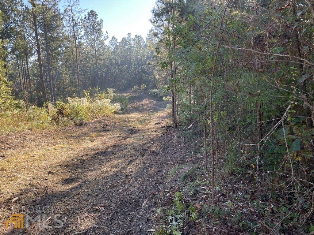 Rome, GA 30161,0 Bailey Tract 5 RD #5