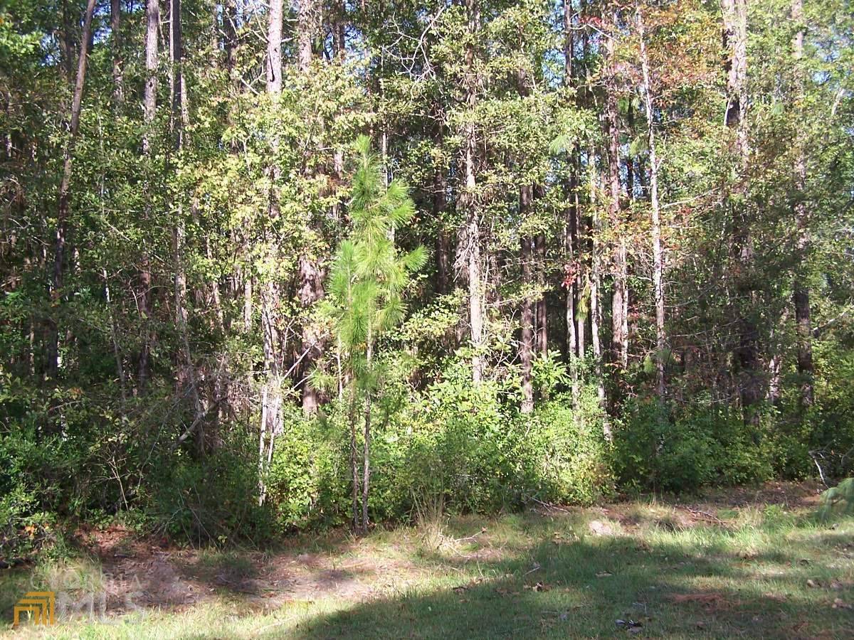 Statesboro, GA 30458,LOT 7 Windy Hill CT