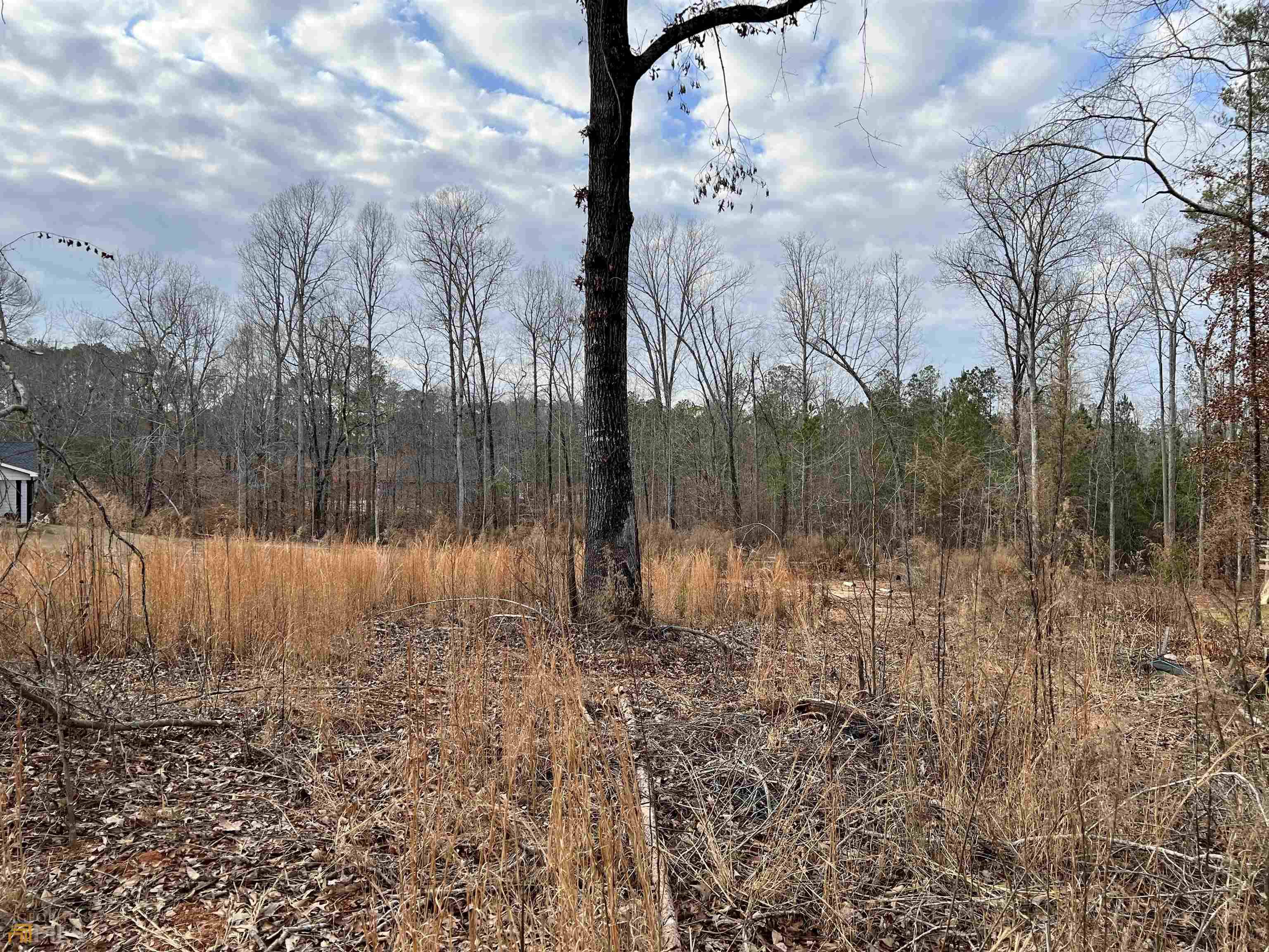 Monticello, GA 31064,110 Water Oak DR #LOT 22