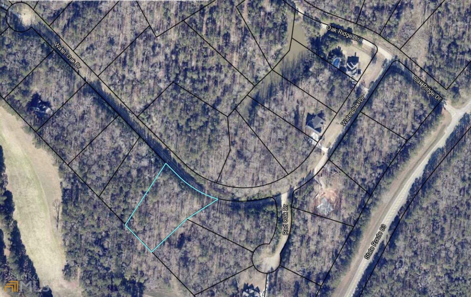 Monticello, GA 31064,197 Water Oak DR #LOT 38