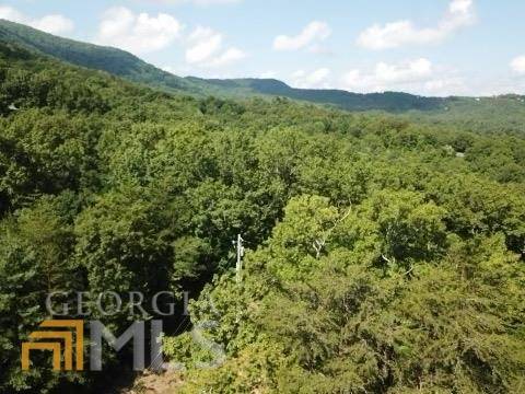 Blue Ridge, GA 30513,642 Crabapple DR