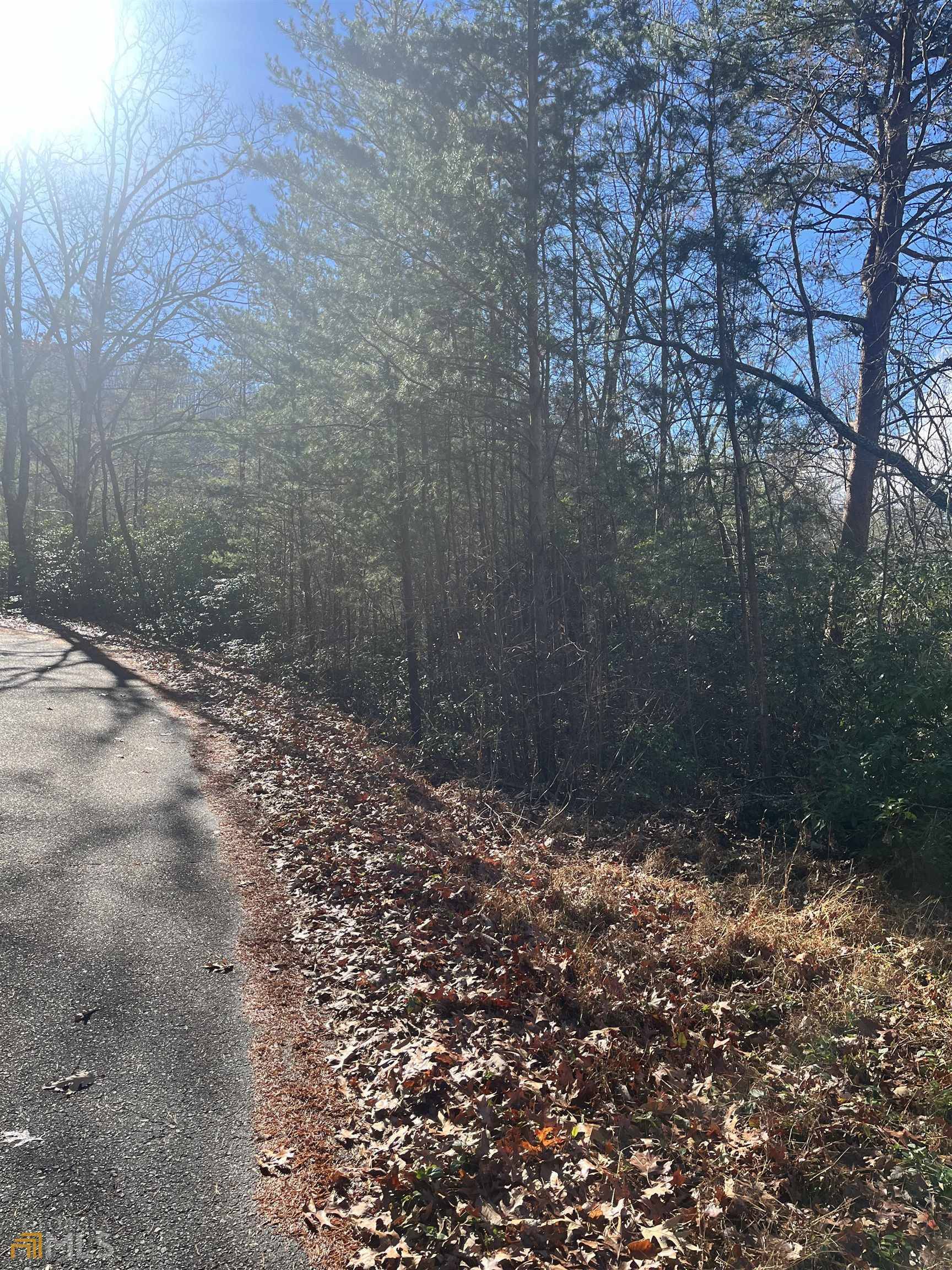 Hiawassee, GA 30546,1.58A Kanuga ST