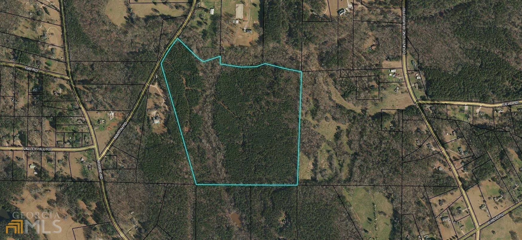 Griffin, GA 30223,72.7 ACRES Martin RD