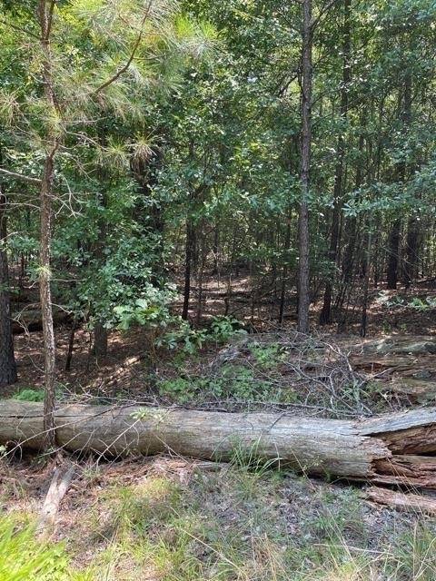 Lincolnton, GA 30817,LOT 59 Wisteria DR