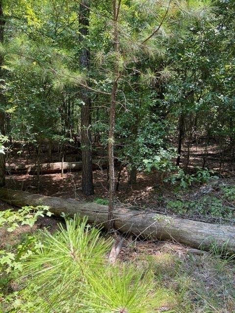 Lincolnton, GA 30817,LOT 59 Wisteria DR