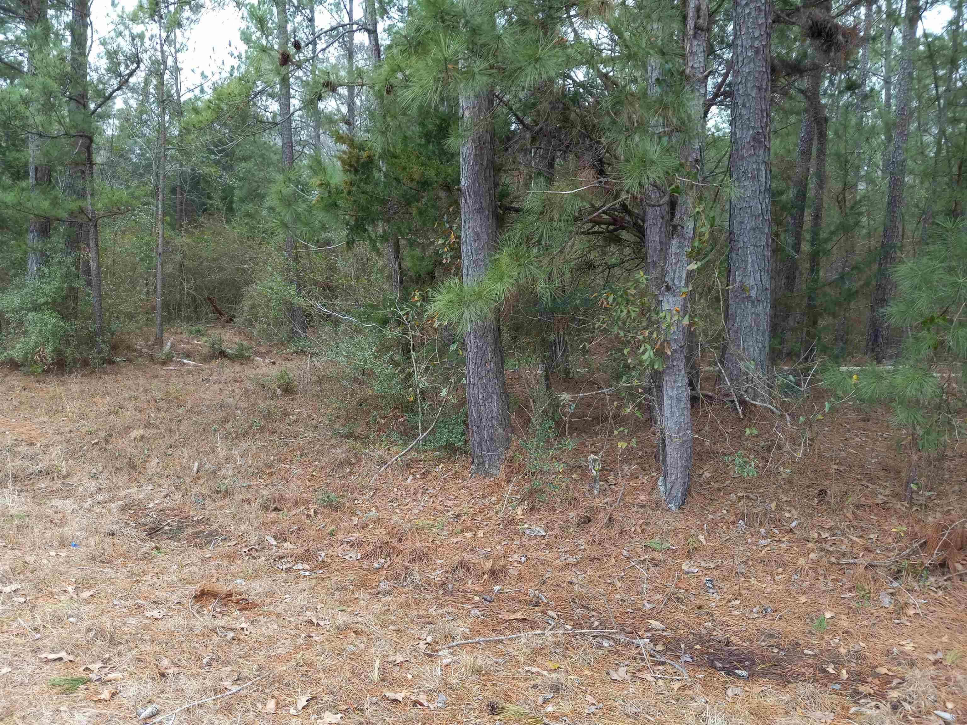 Tennille, GA 31089,00 Dixon Grove Road