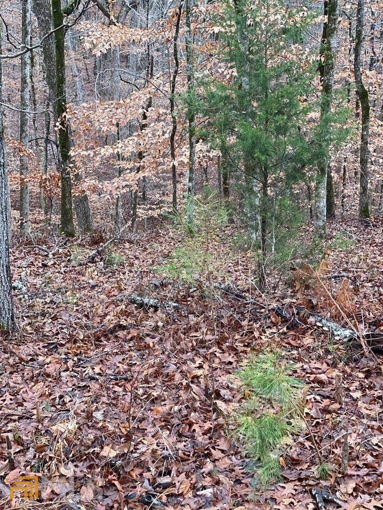 Pine Mountain, GA 31822,LOT 10,11 Cedar DR