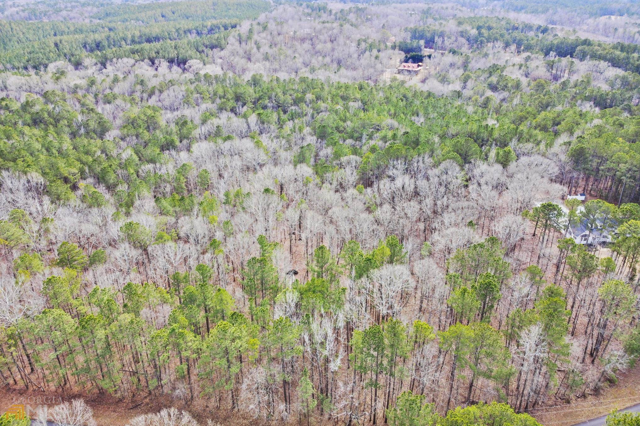 Lagrange, GA 30240,4.91+/- ACRES Turkey Point DR