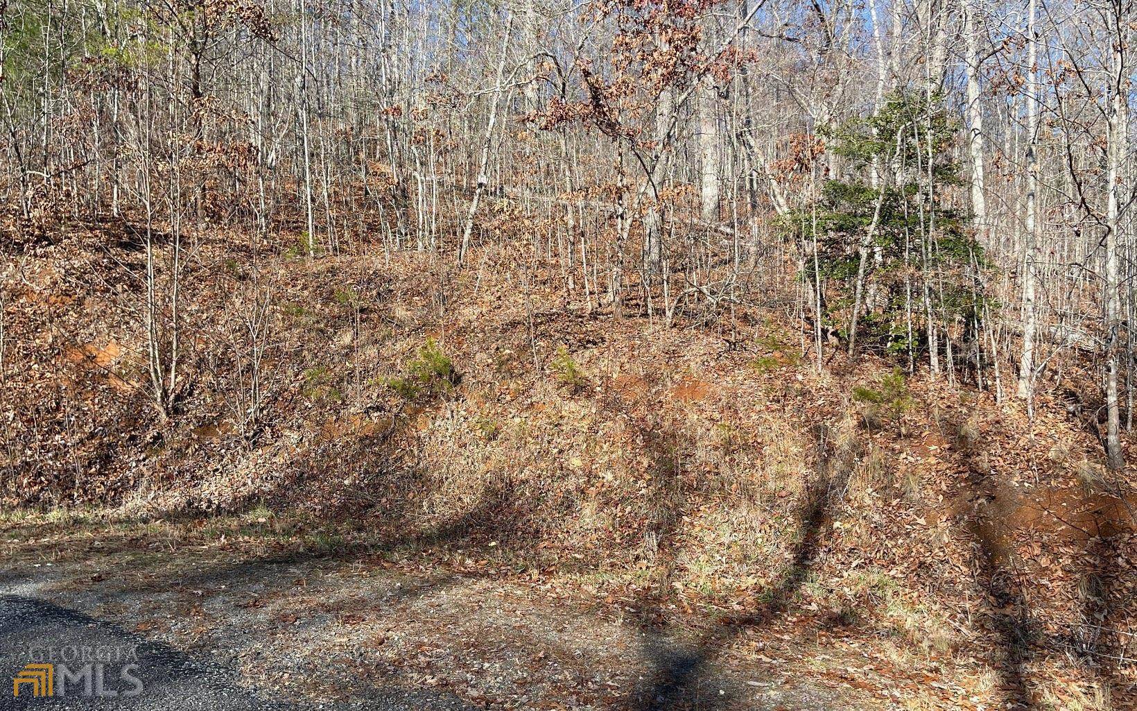 Hiawassee, GA 30546,LOT 14 Shallow Creek