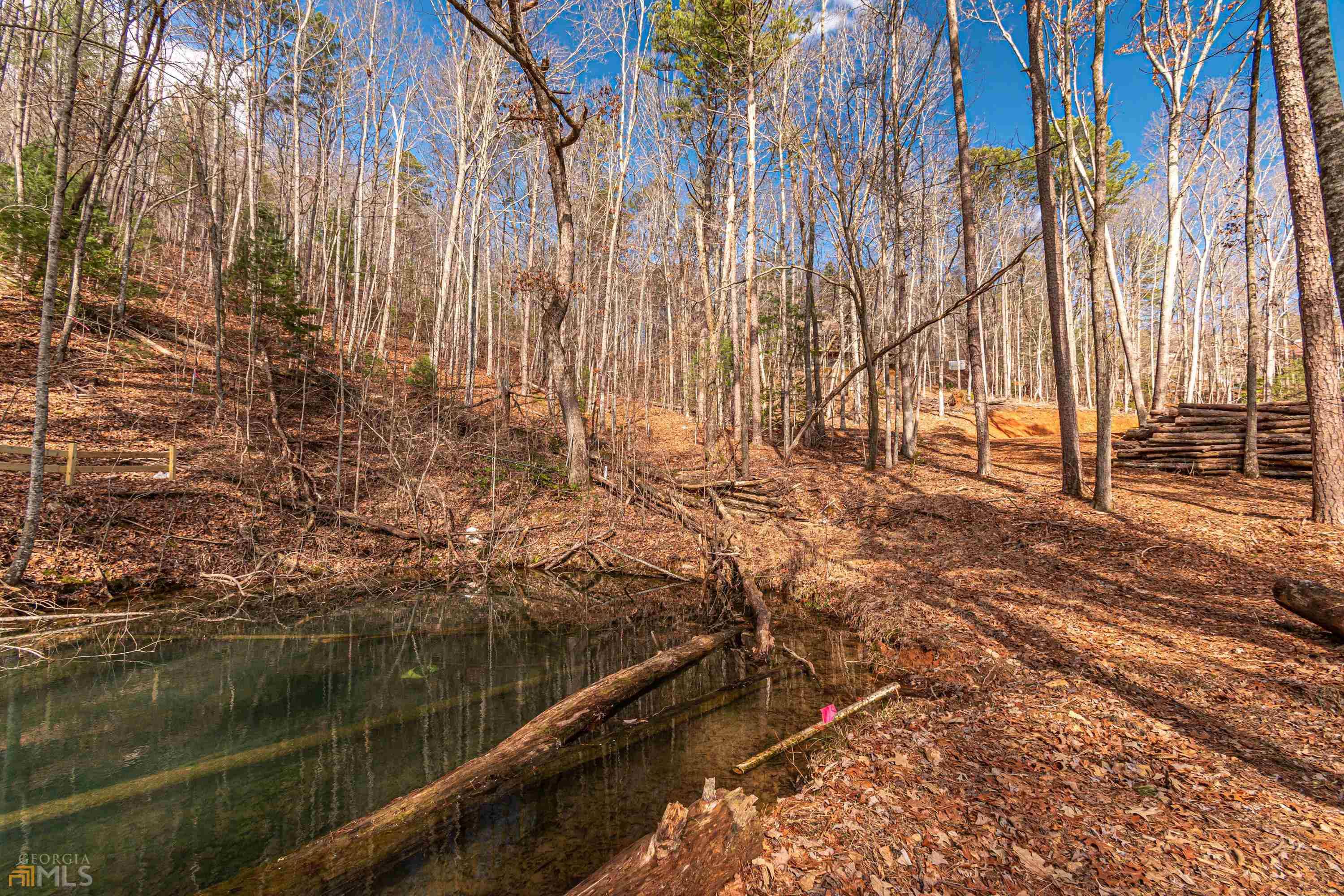 Blue Ridge, GA 30513,1.34AC Laurel BR