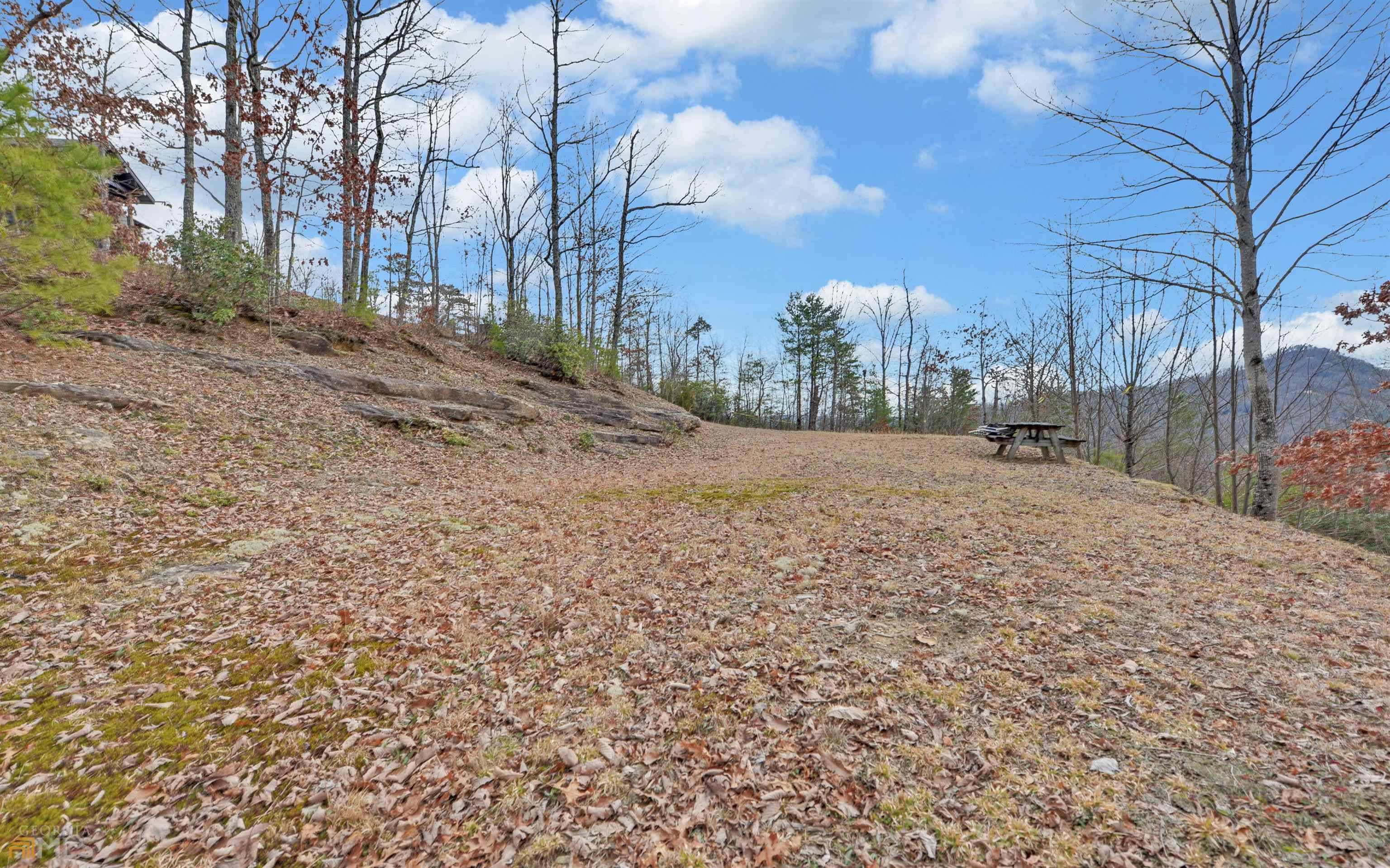 Clayton, GA 30525,0 Sonya Drive - Lot 11