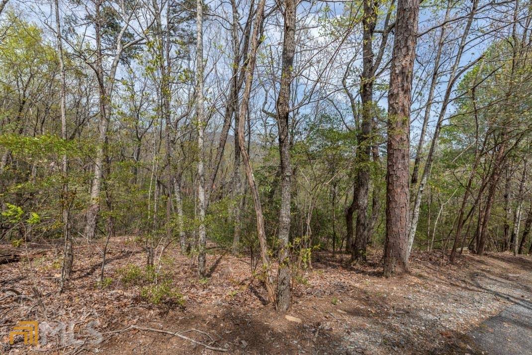 Ellijay, GA 30536,LOT 59 Big Creek MTN