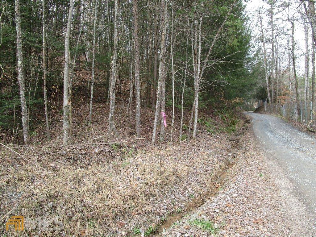 Mineral Bluff, GA 30559,0 Twin Springs RD