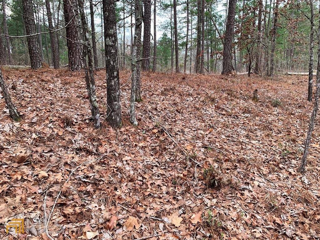 Sparta, GA 31087,LOT 581 Oconee DR