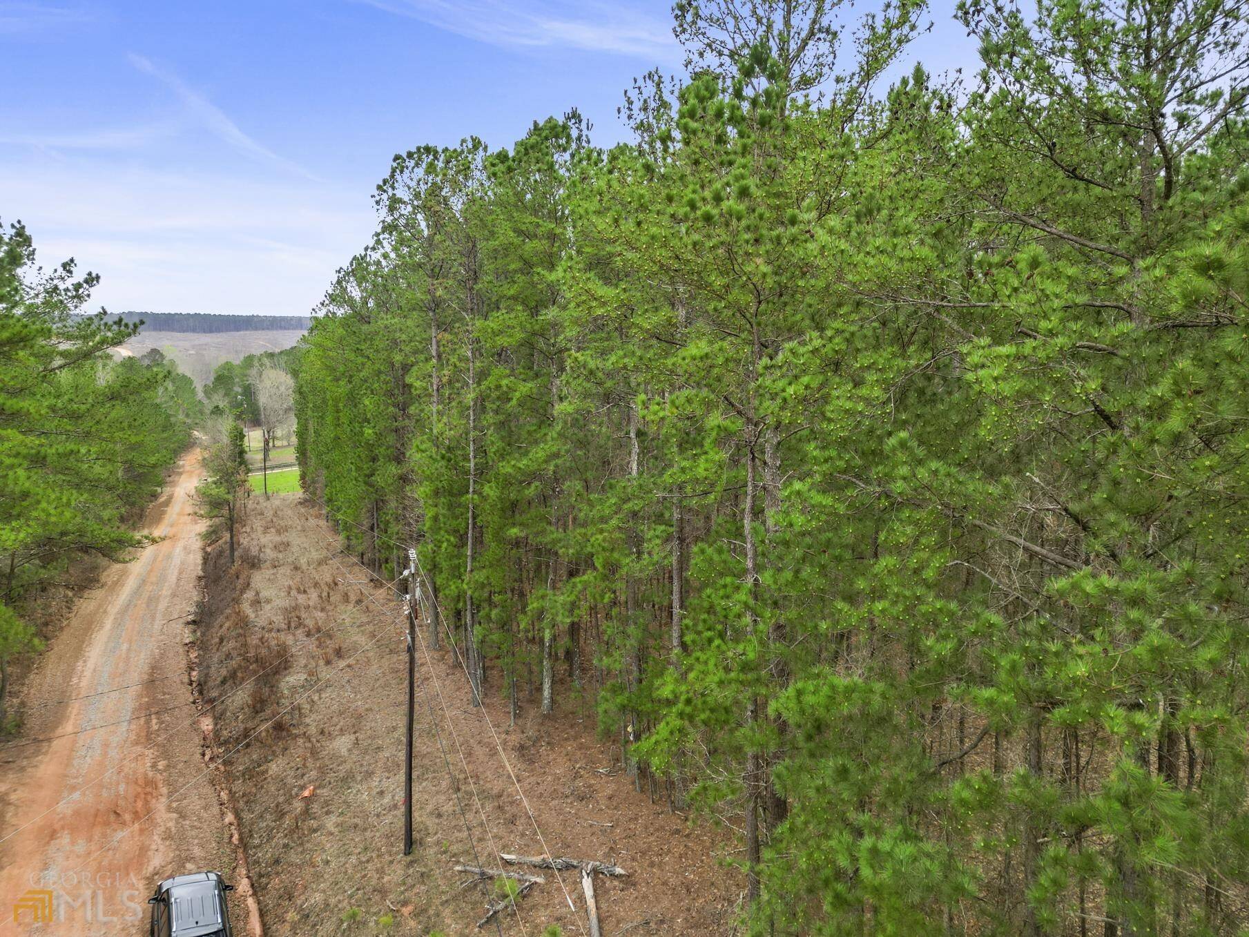 Greenville, GA 30222,13.2+/-ACRES Primrose CIR