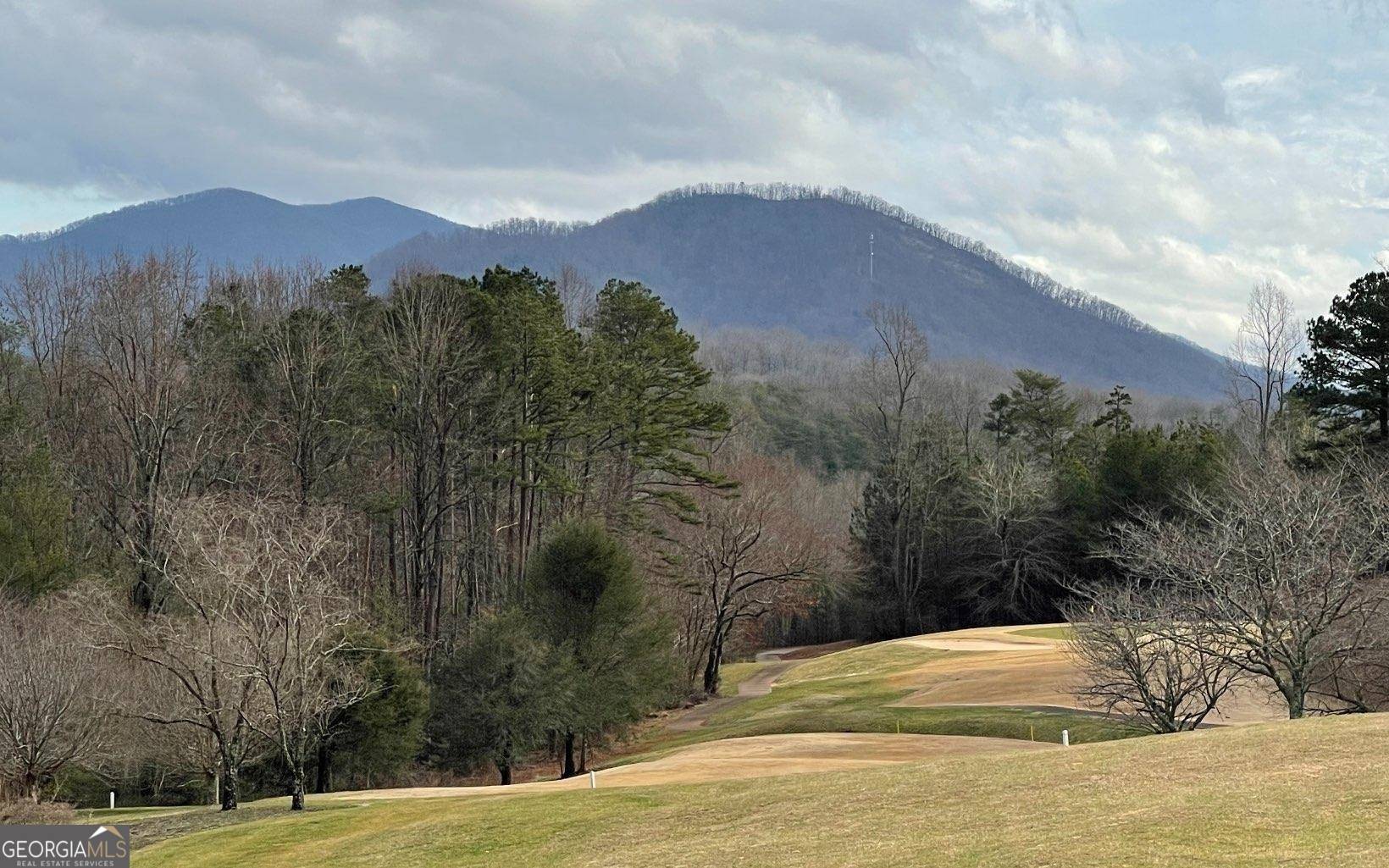 Hayesville, NC 28904,LOT 120A Mountain Harbour