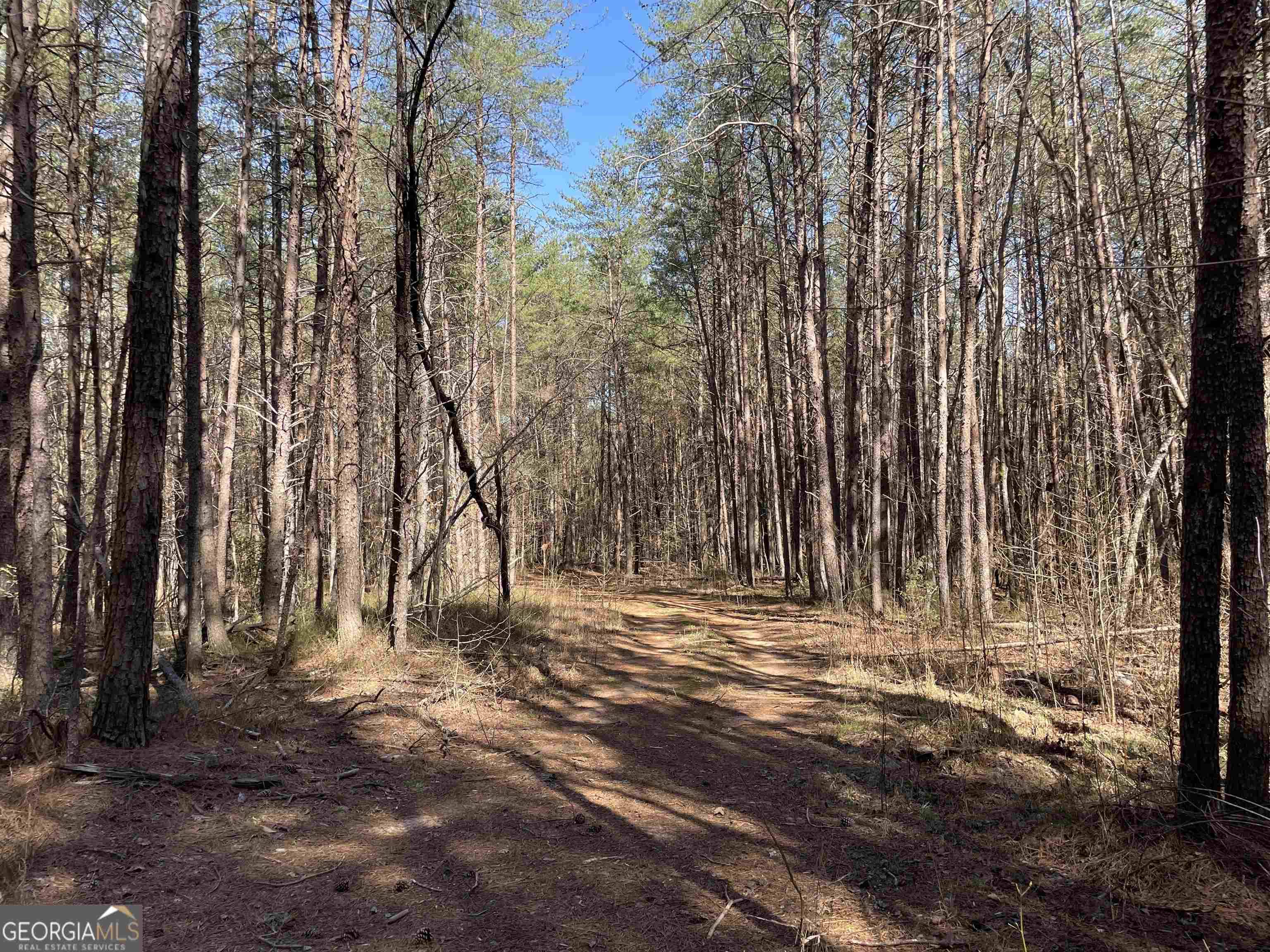 Dawsonville, GA 30534,0 Nix Road (tract 3; 112.43 Acres)