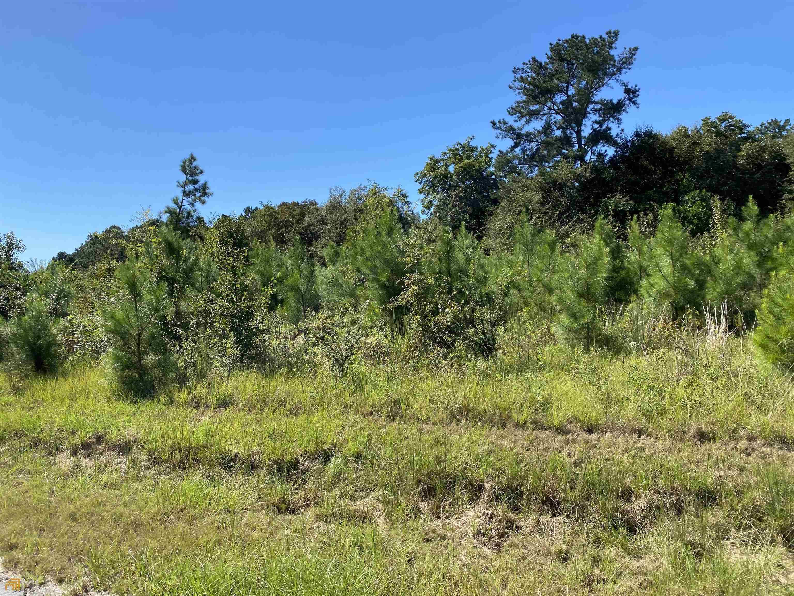 Cochran, GA 31014,LOT 33 Harris CIR #LOT 33