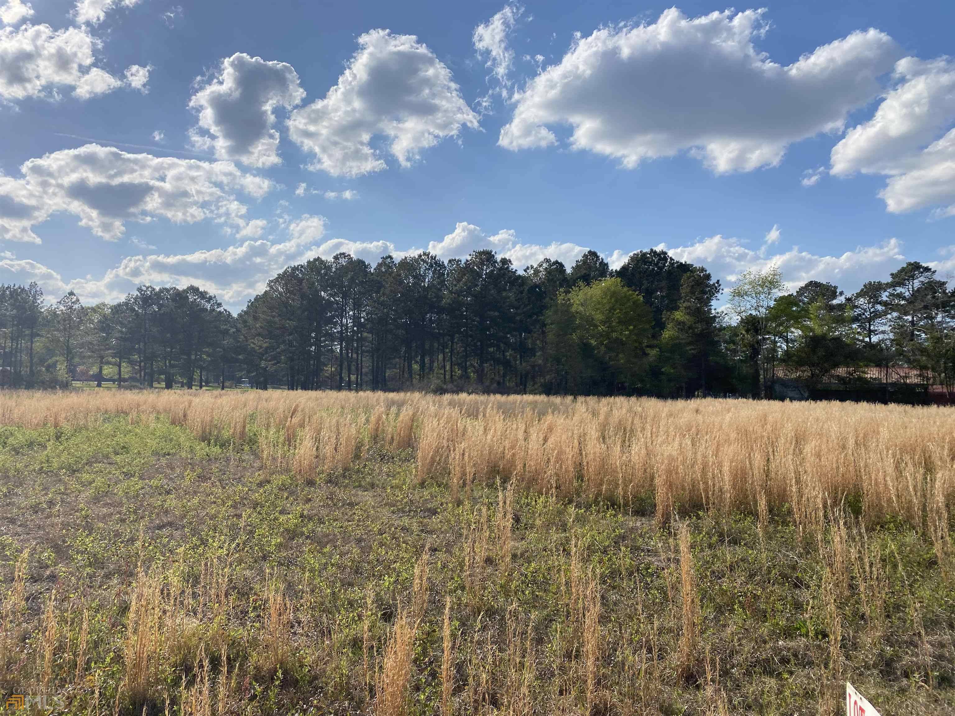 Cochran, GA 31014,LOT 33 Harris CIR #LOT 33