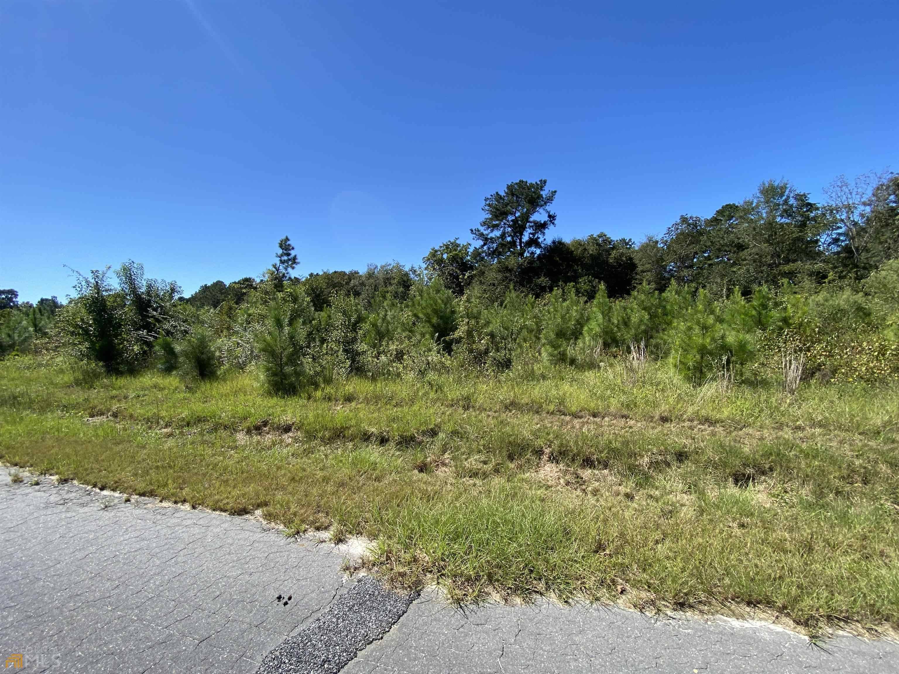 Cochran, GA 31014,LOT 34 Harris CIR #LOT 34