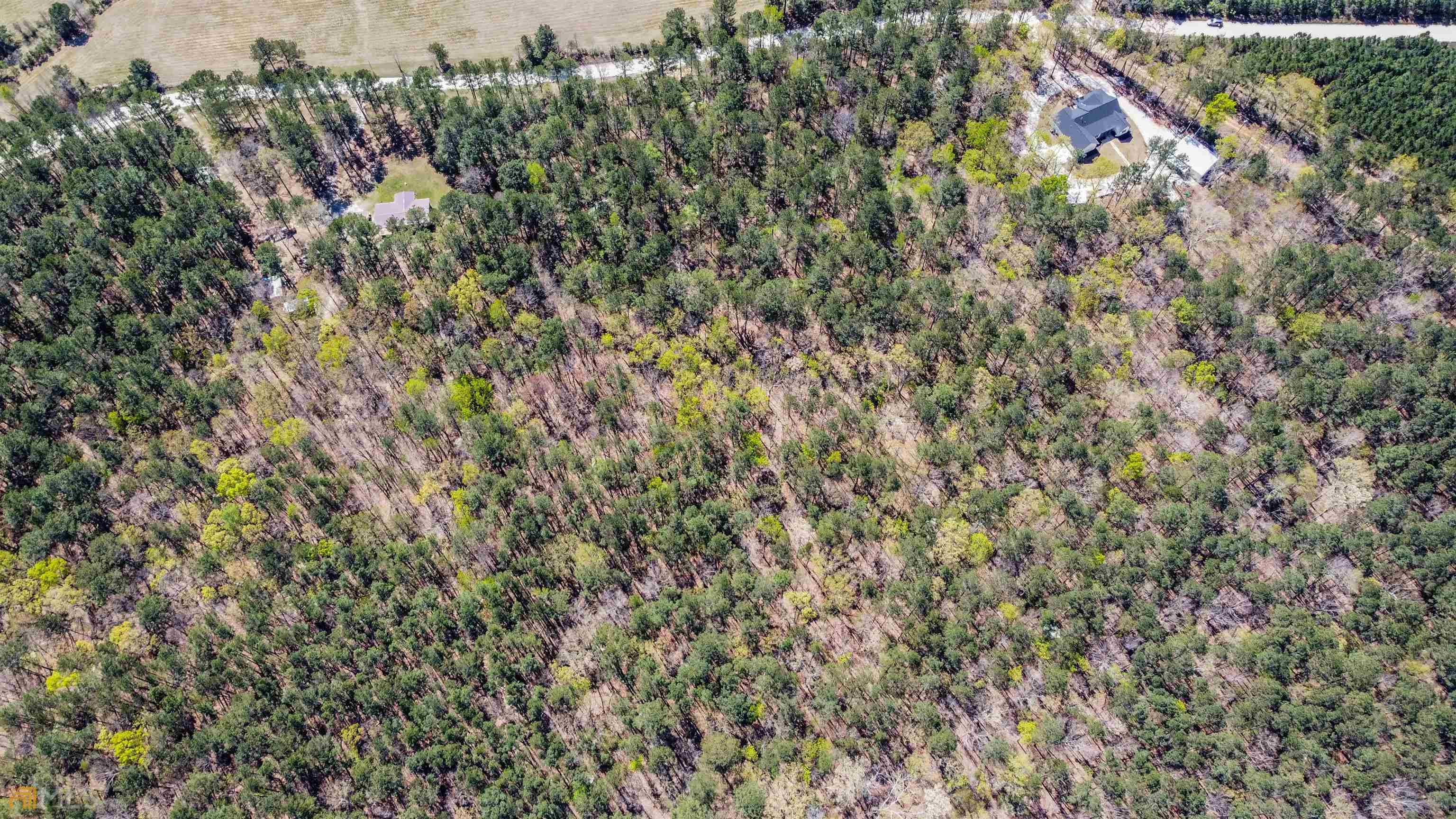 Lincolnton, GA 30817,6.53 AC Pineywoods Rd