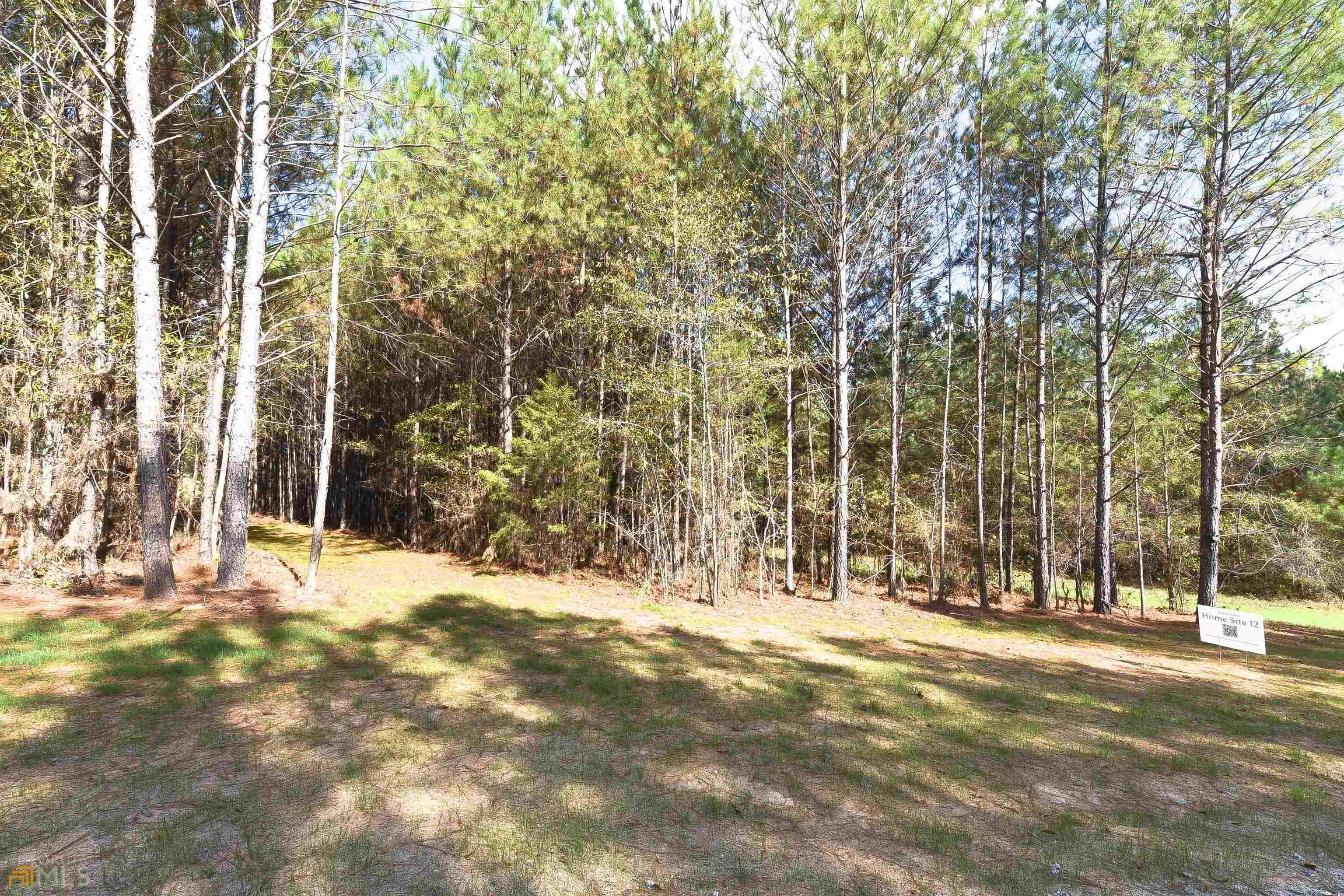 Grantville, GA 30220,LOT 12 Upper Woodland Way #LOT 12