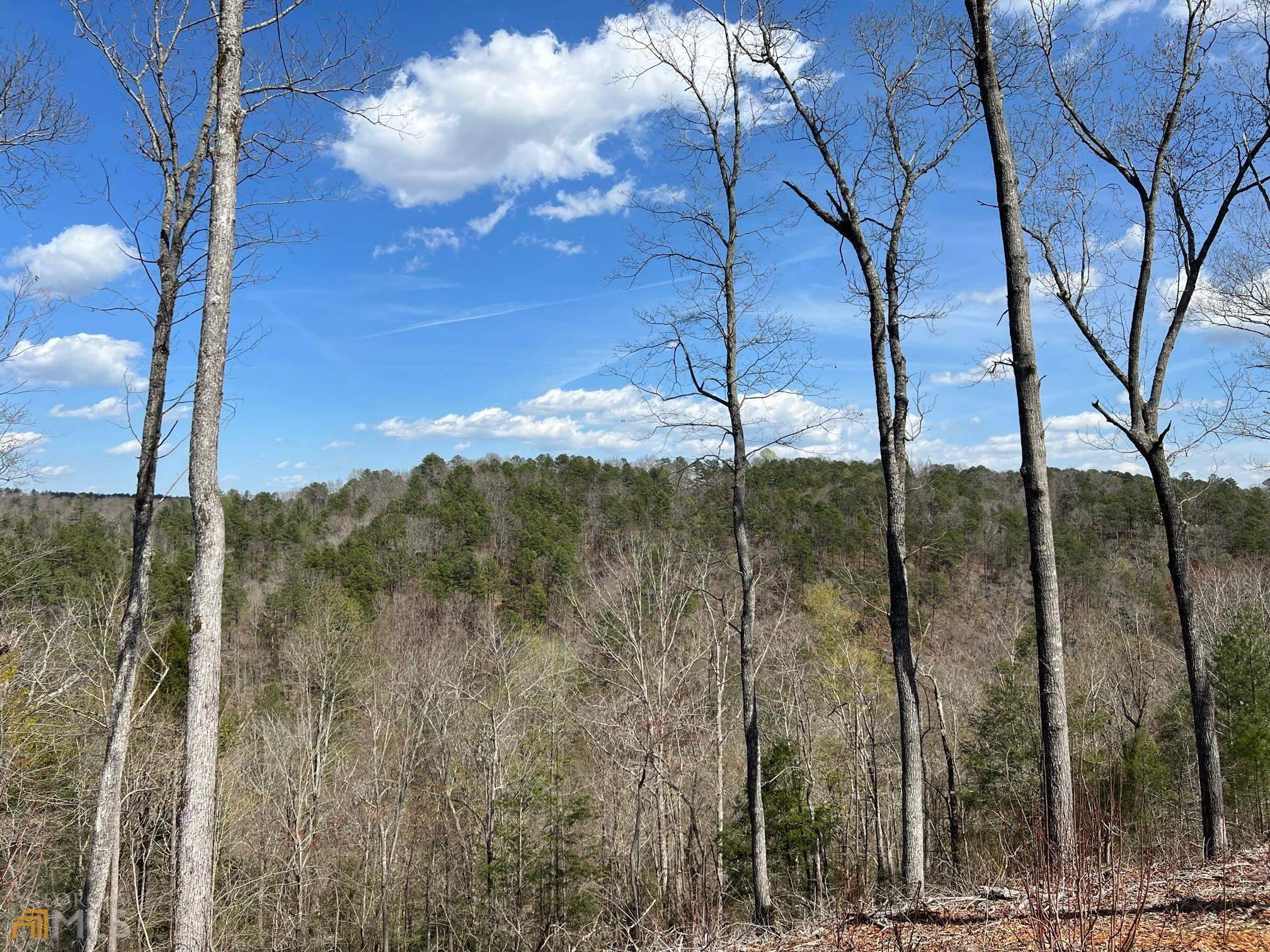 Ellijay, GA 30540,00 Jakes Landing