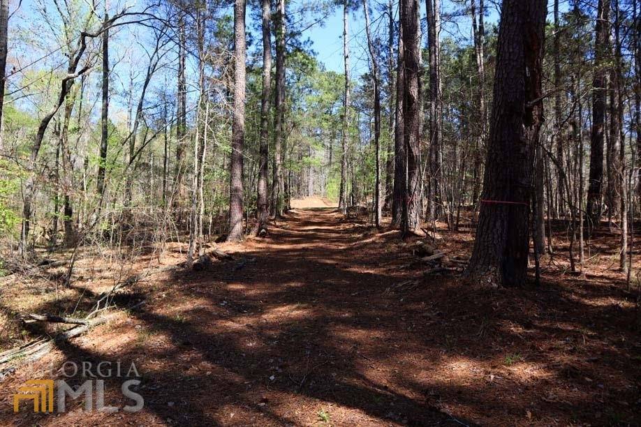 Eatonton, GA 31024,LOT 10 S. Rock Island DR