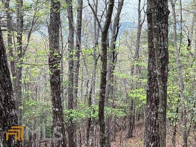 Cleveland, GA 30528,LOT 14 Logans Ridge RD