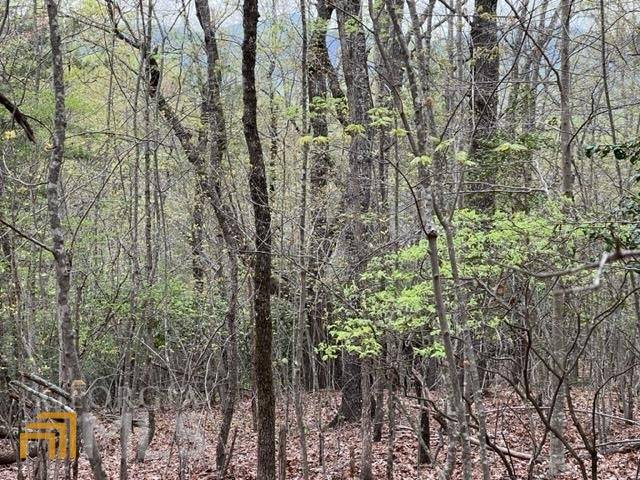 Cleveland, GA 30528,LOT 14 Logans Ridge RD