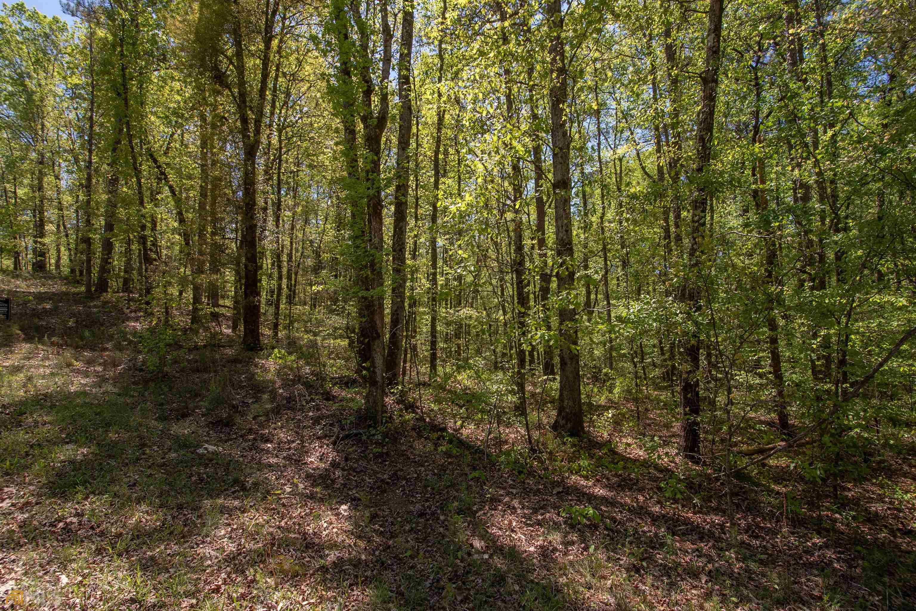 Pine Mountain, GA 31822,0 Leisure Circle