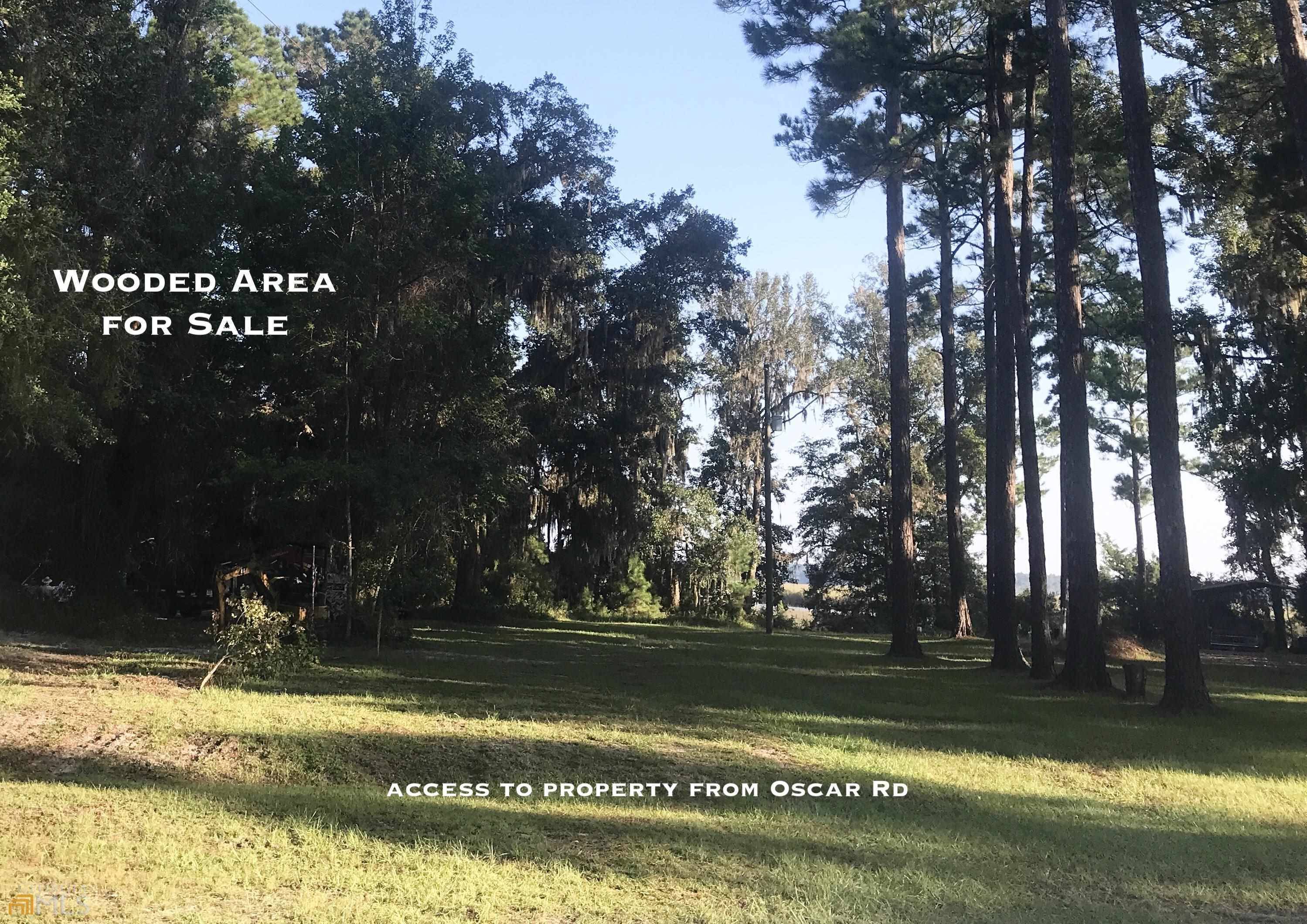 White Oak, GA 31568,0 Oscar Rd