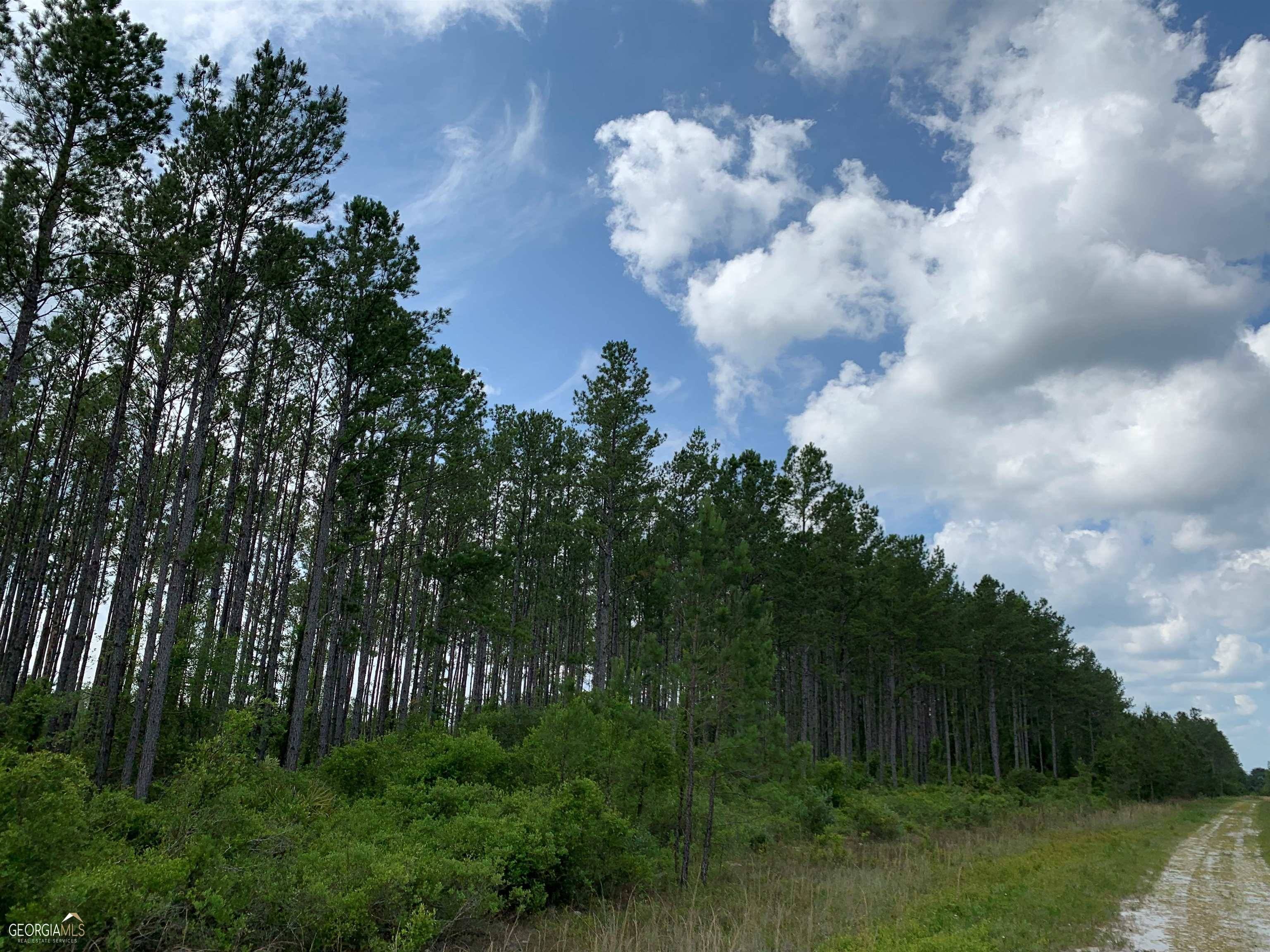 Waverly, GA 31565,LOT 73 Timberland RD