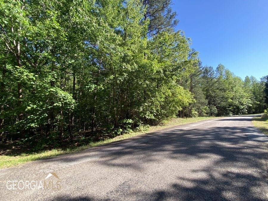 Lavonia, GA 30553,0 Lake Place DR