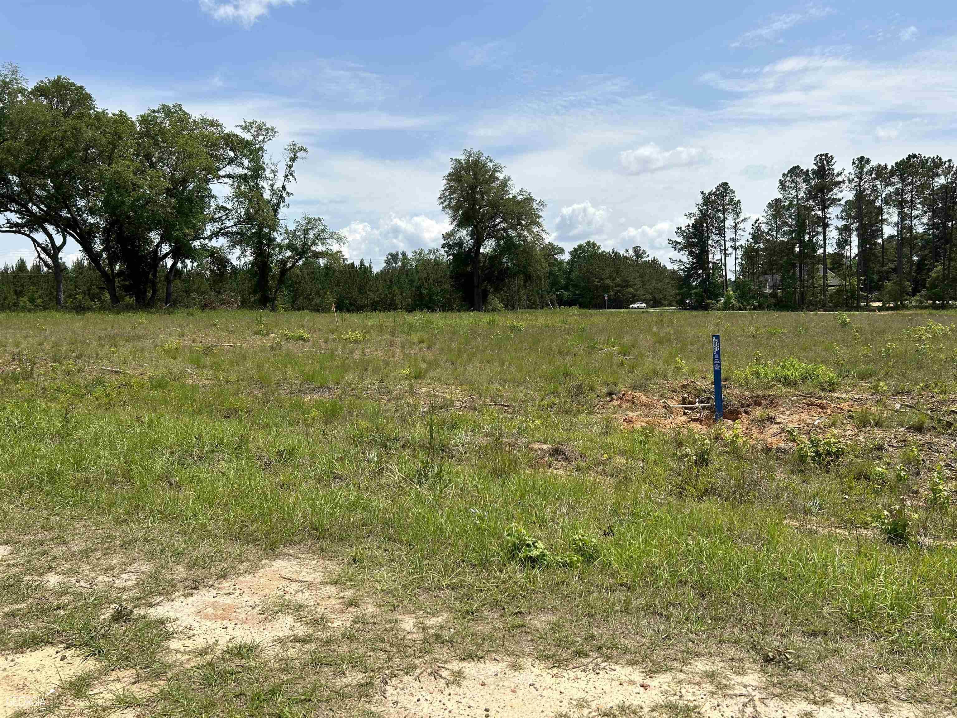 Sylvania, GA 30467,TBD Mock St, Lot 2