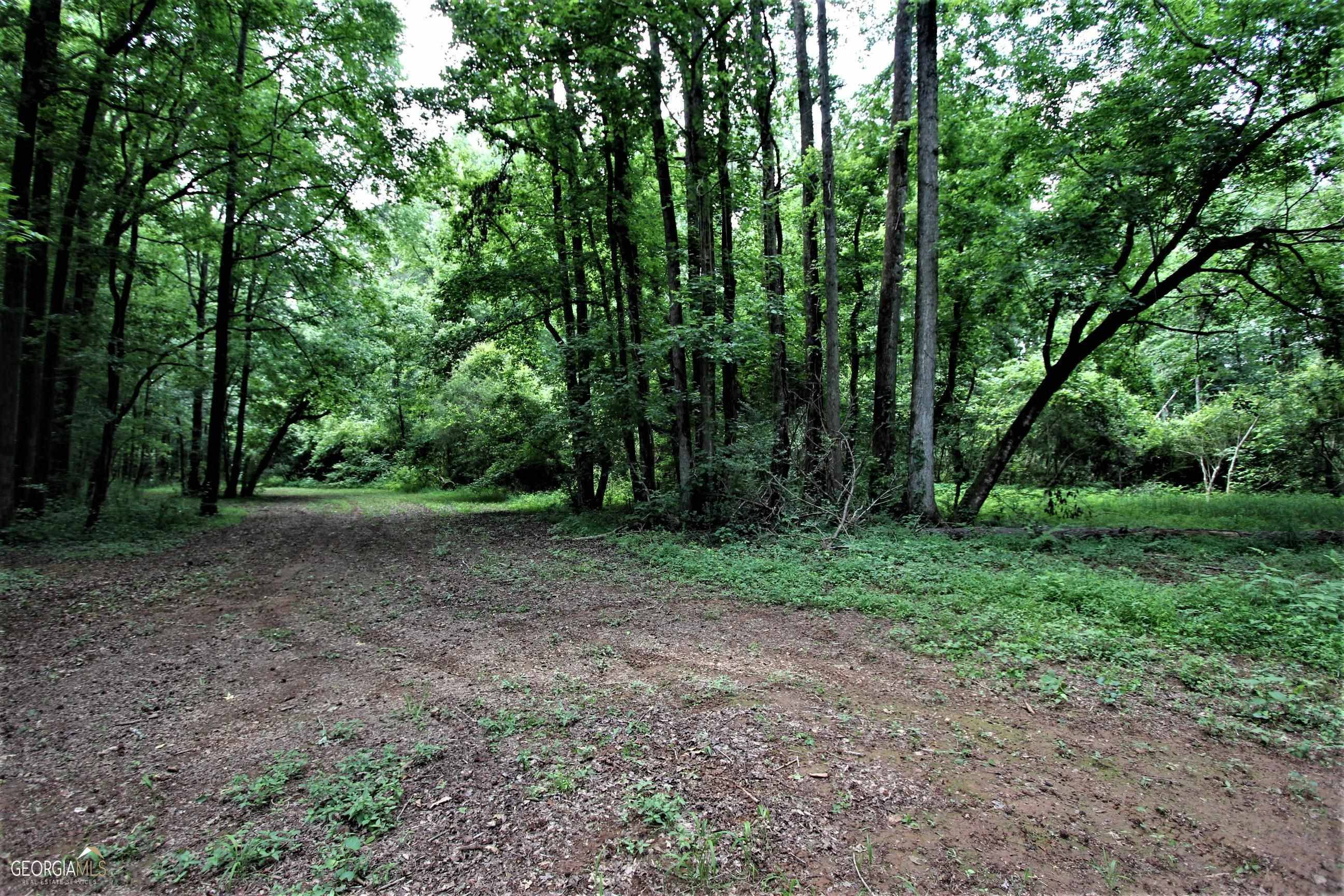 Pine Mountain Valley, GA 31823,00 J ST