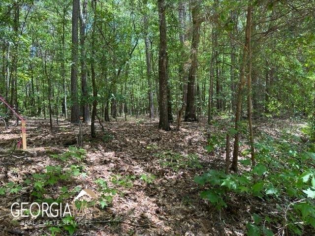 Toccoa, GA 30577,TRACT 2 Jordan - Kudzu Trail RD