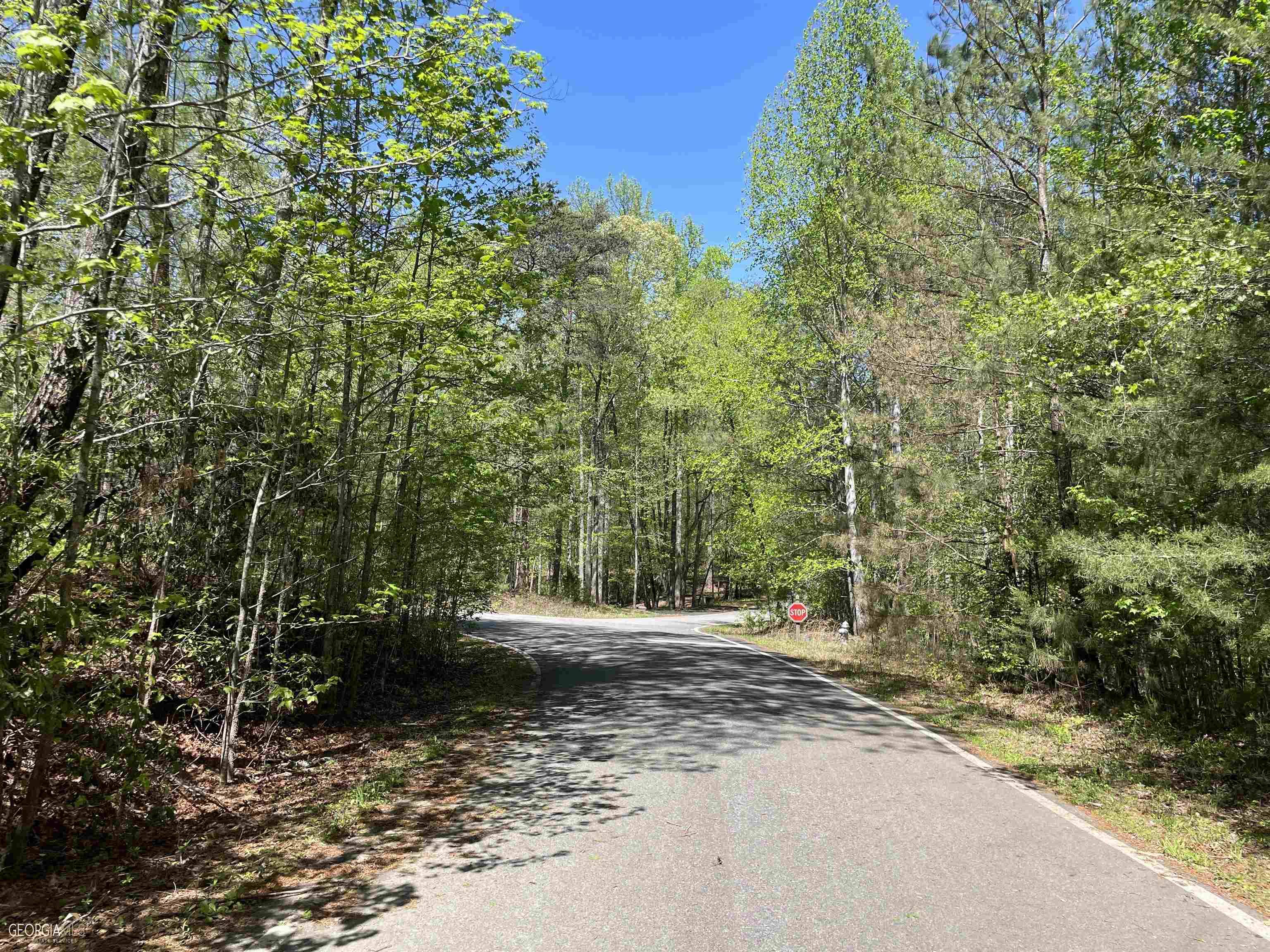 Marble Hill, GA 30148,24002 Waterford Way #LOT 4852