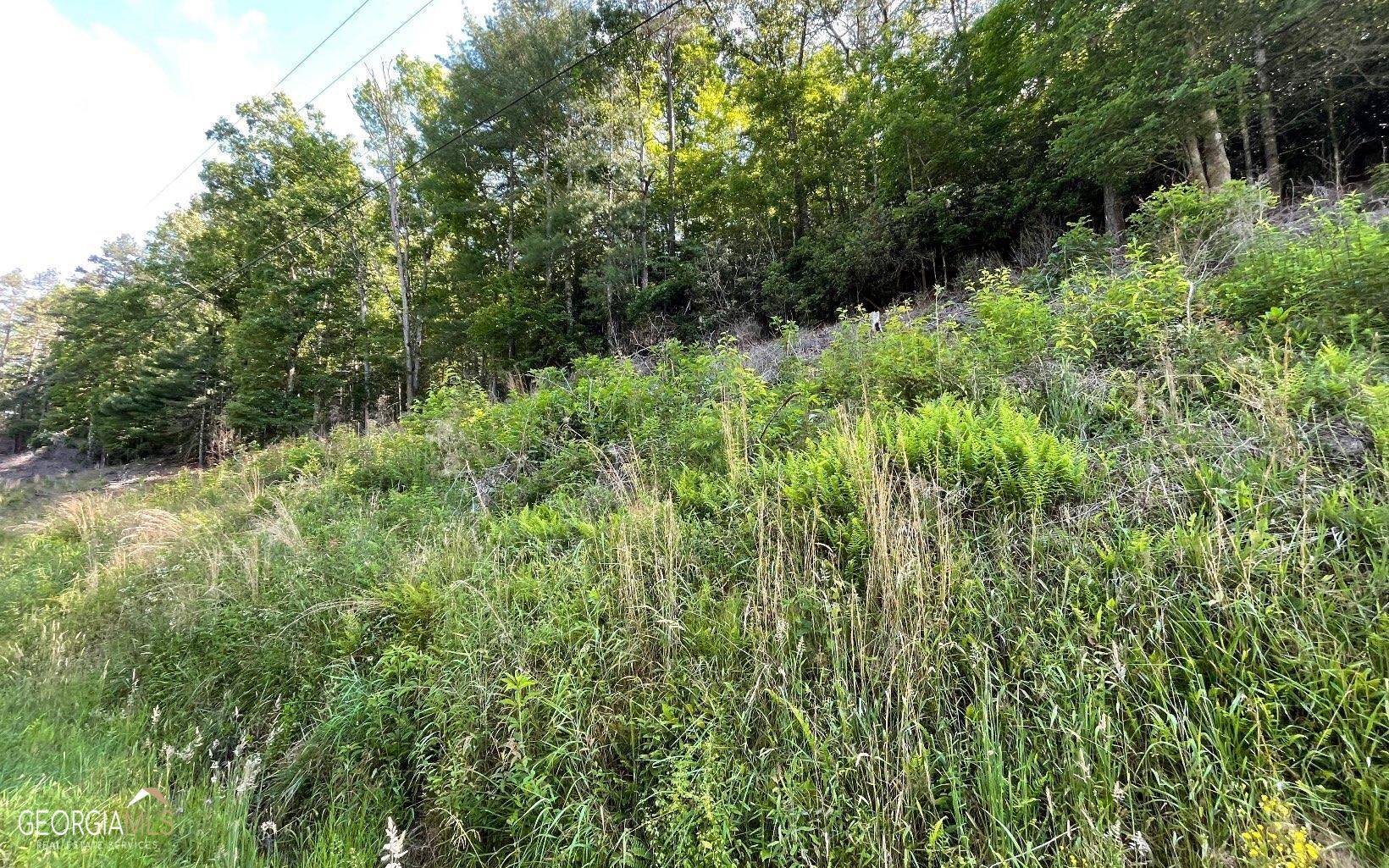 Hayesville, NC 28904,LOT 2 Fires Creek Road