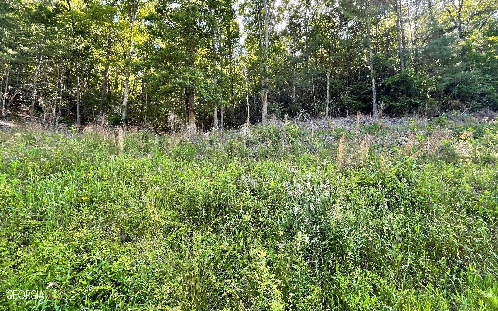 Hayesville, NC 28904,LOT 2 Fires Creek Road