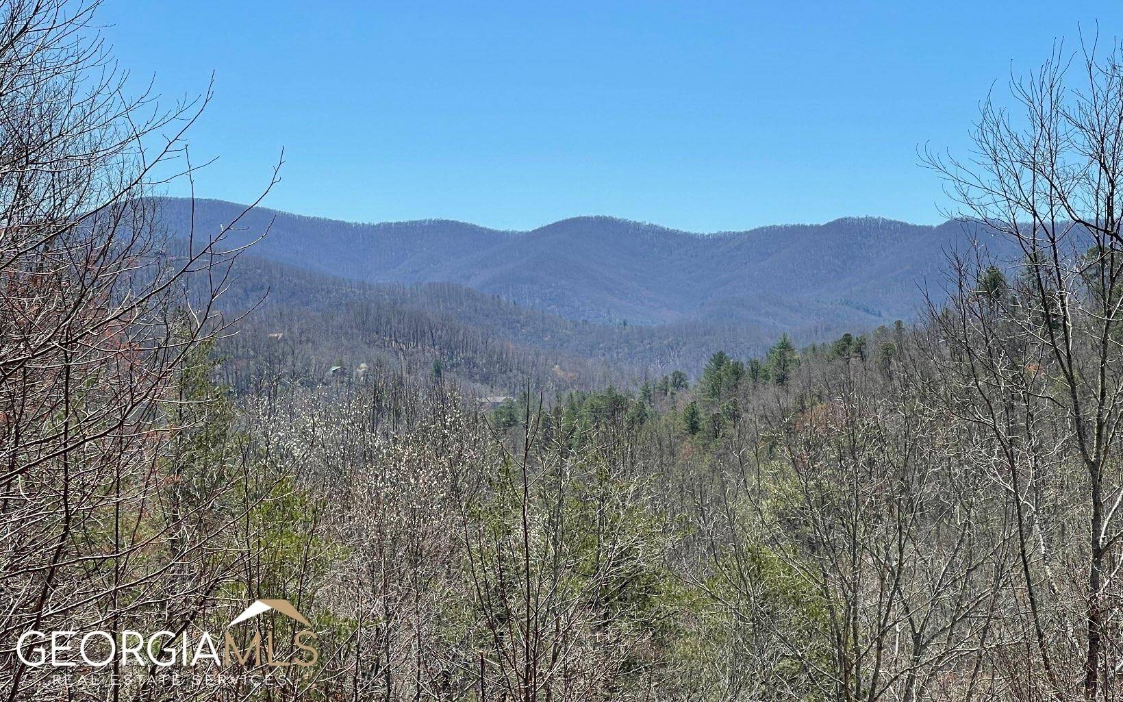 Hiawassee, GA 30546,224 Jack Creek RD