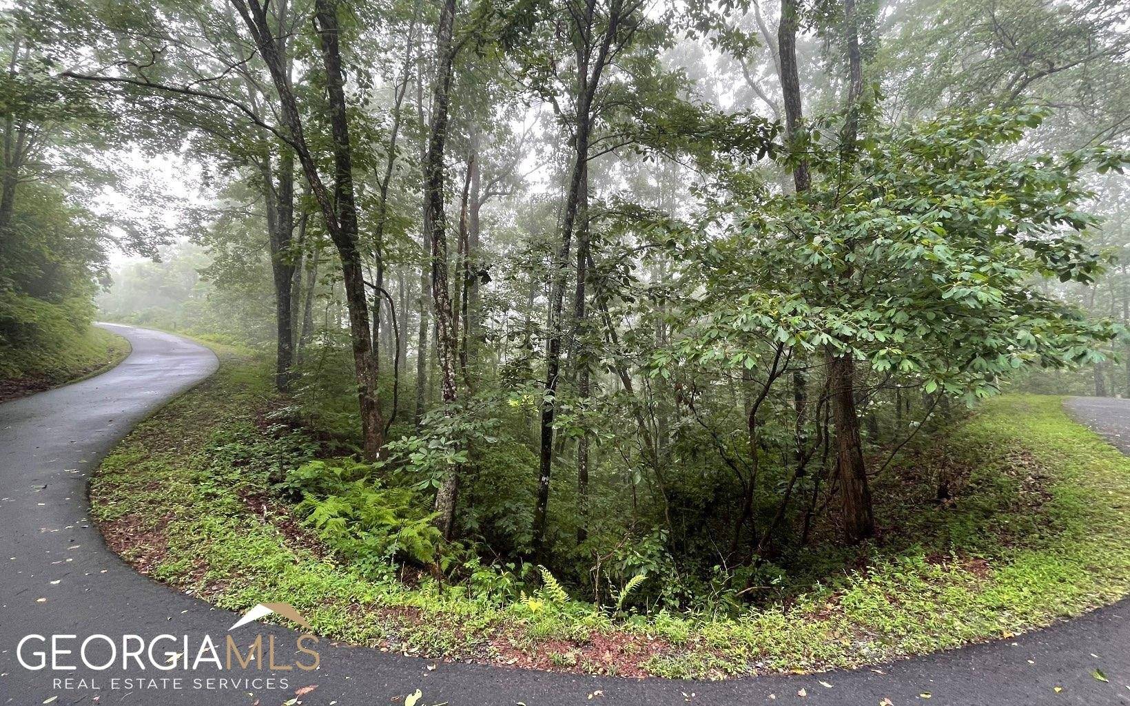 Hayesville, NC 28904,LOT 7 Trillium Heights