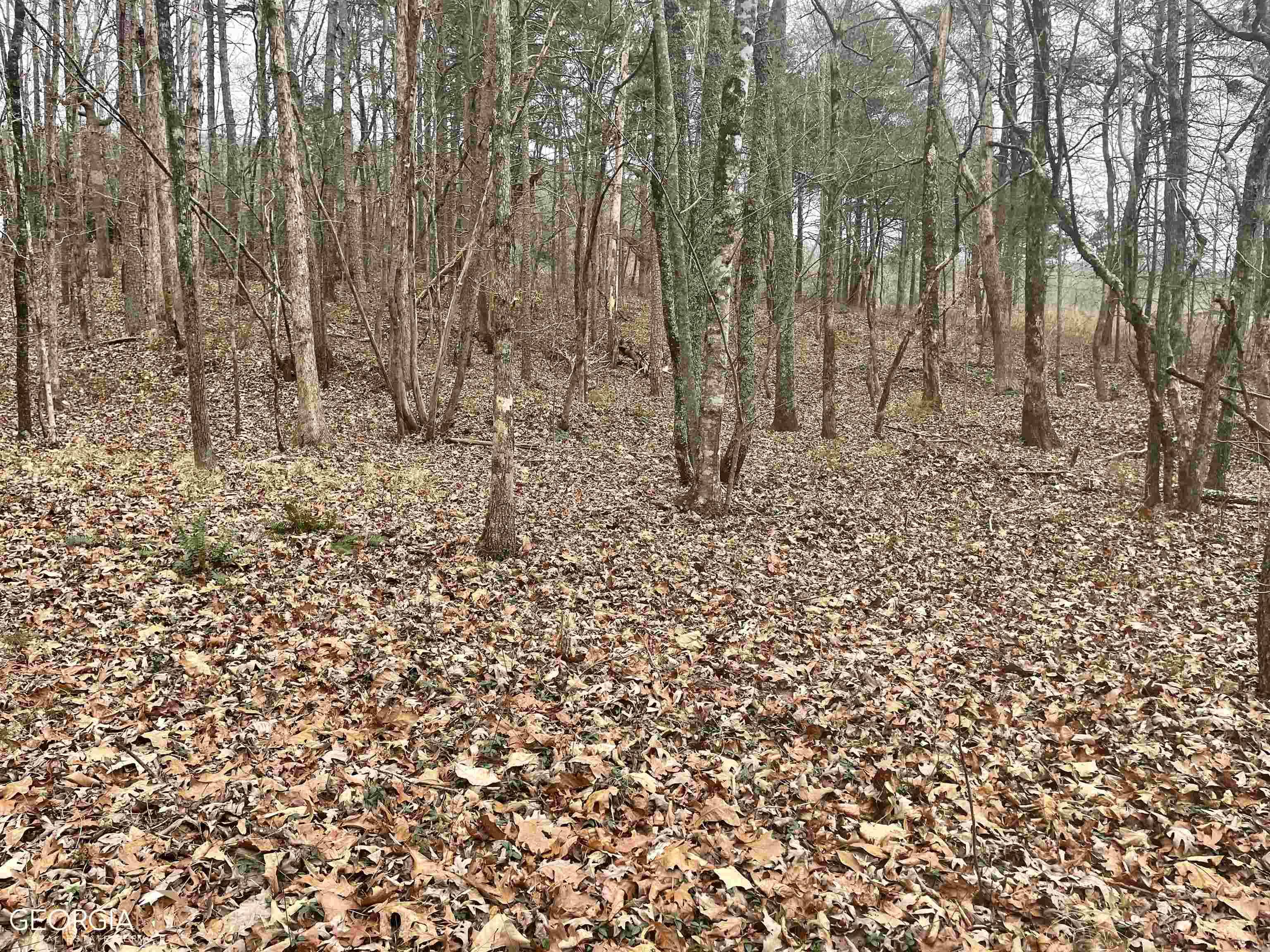 Cleveland, GA 30528,LOT 13 Teel Mountain DR