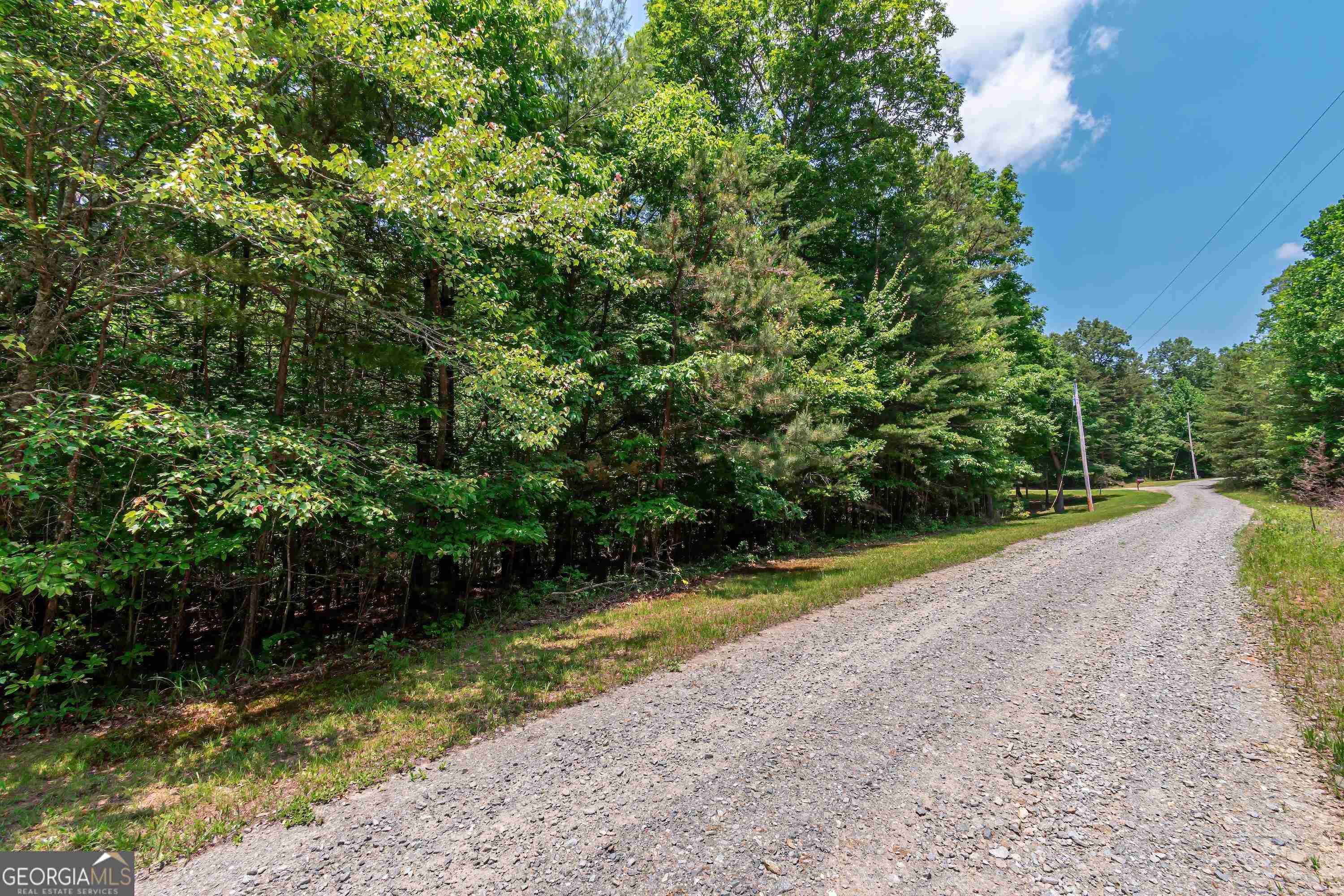 Mineral Bluff, GA 30559,1.74AC Pine LN