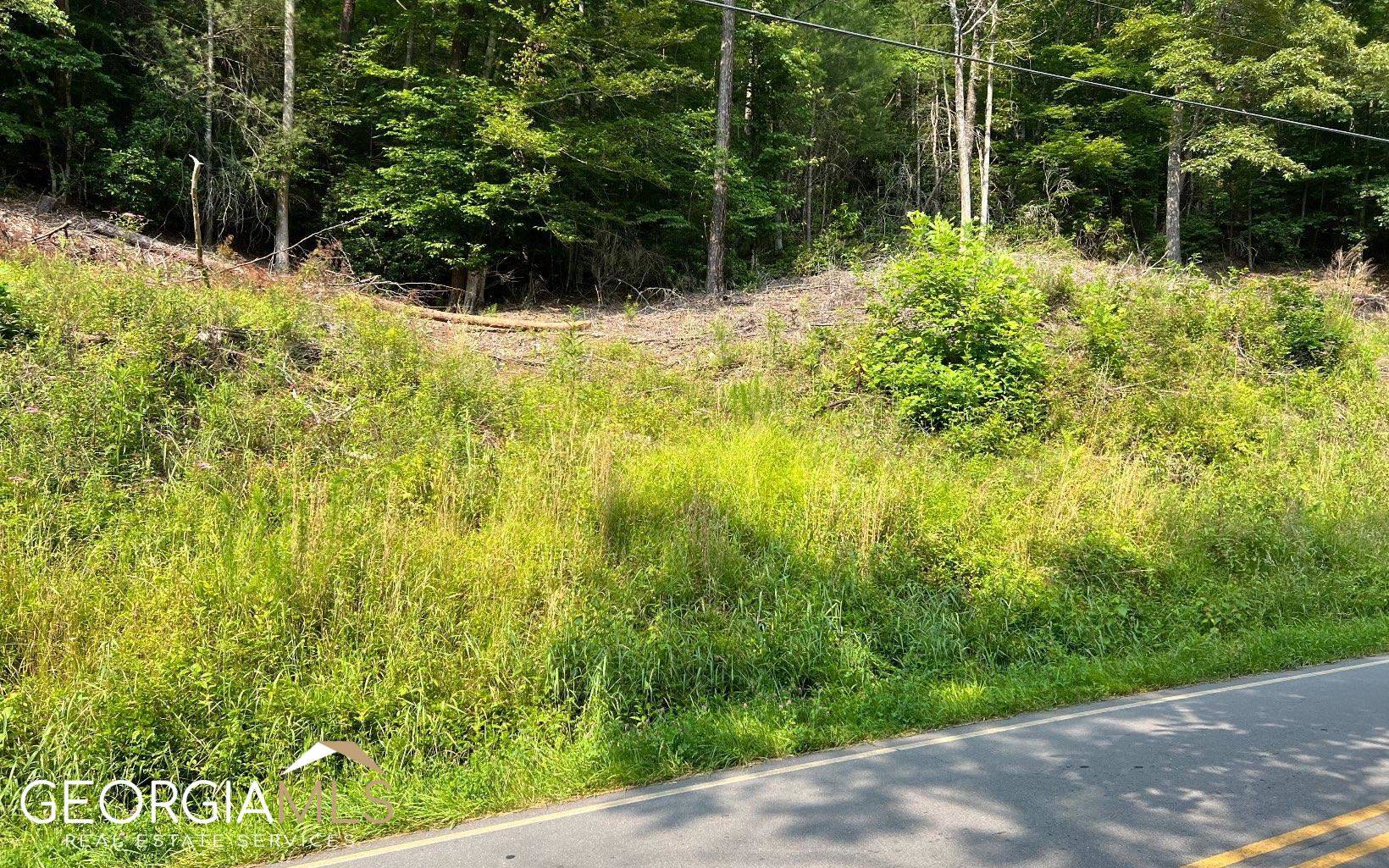 Hayesville, NC 28904,LOT 3 Fires Creek Road