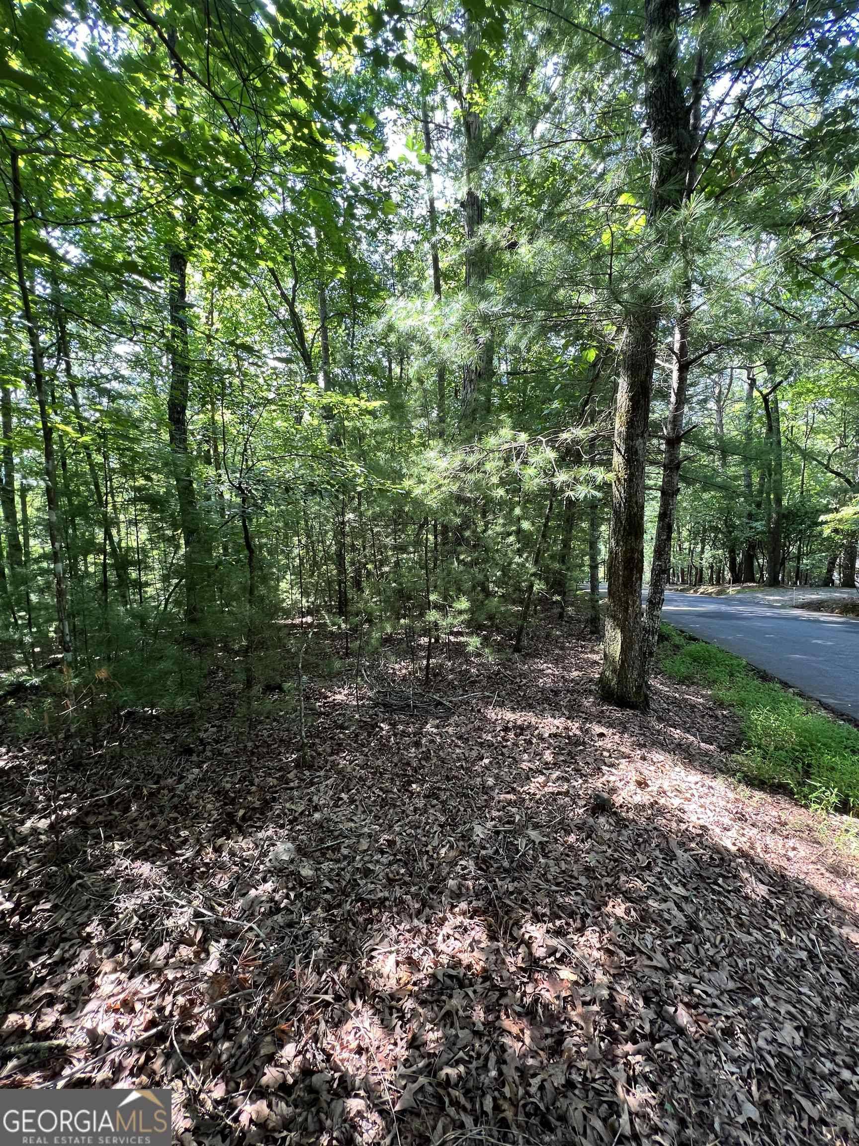 Sautee Nacoochee, GA 30571,LOT P30 Laurelwood