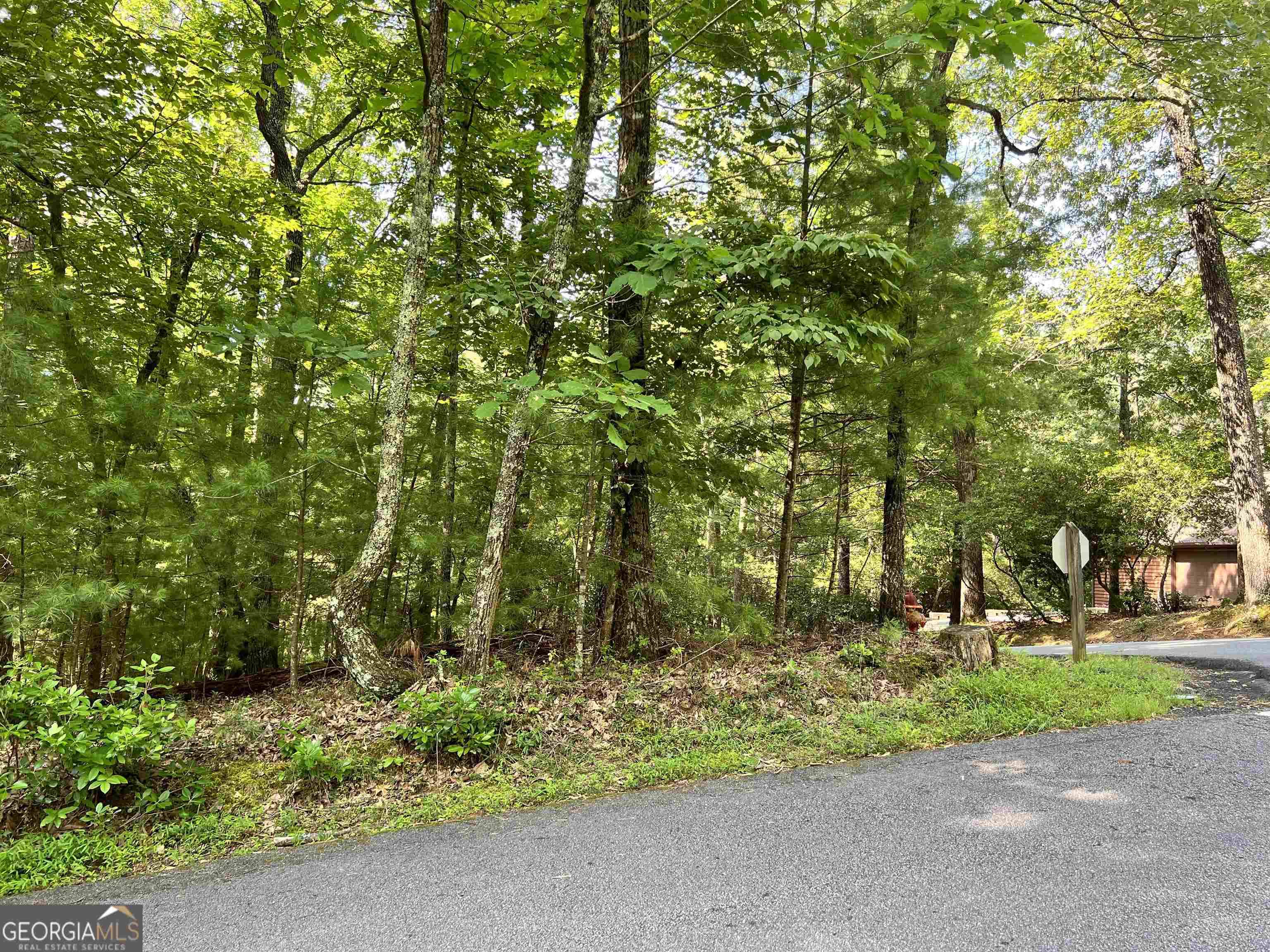 Sautee Nacoochee, GA 30571,LOT P30 Laurelwood