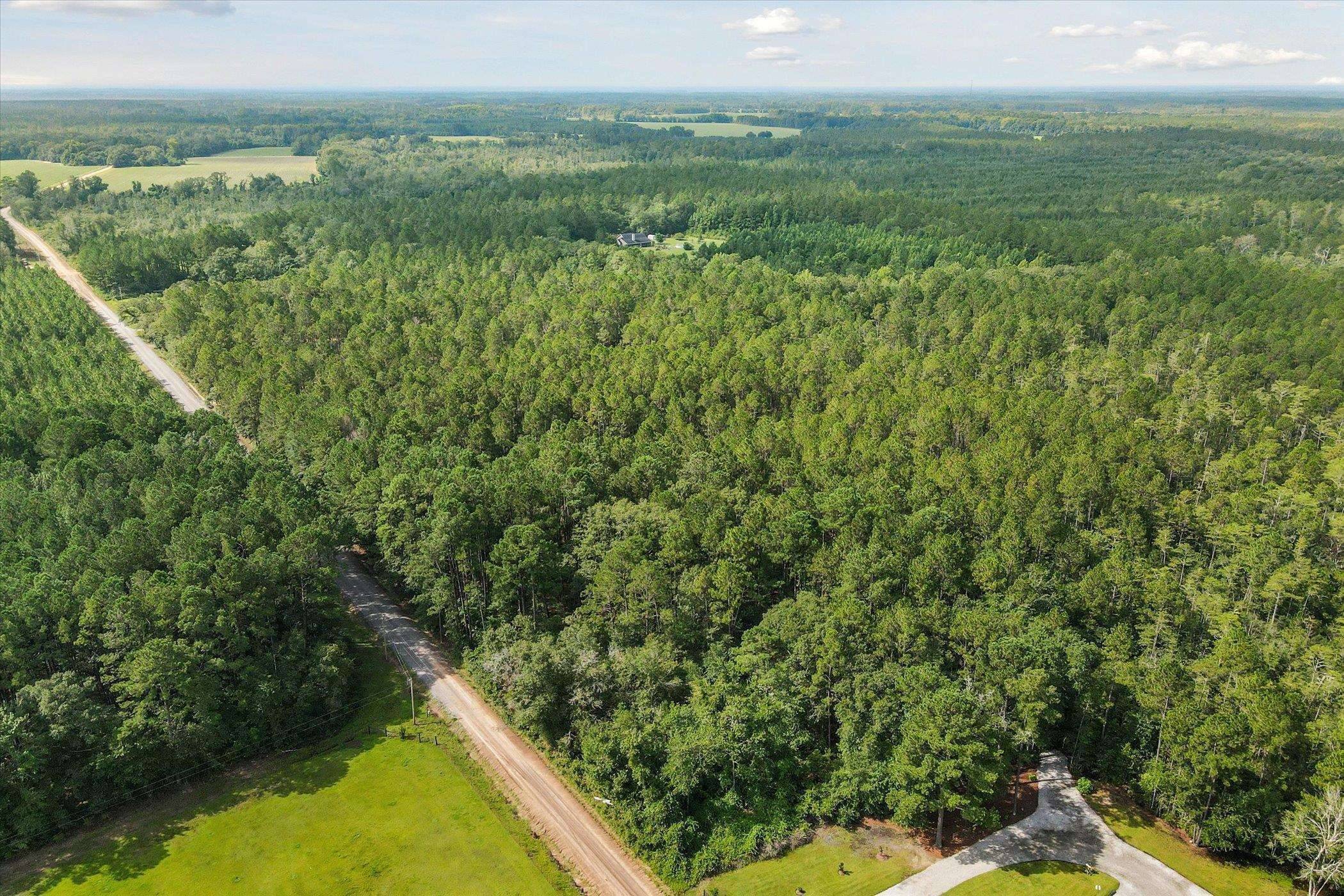 Brooklet, GA 30415,LOT 4, Buie Driggers RD