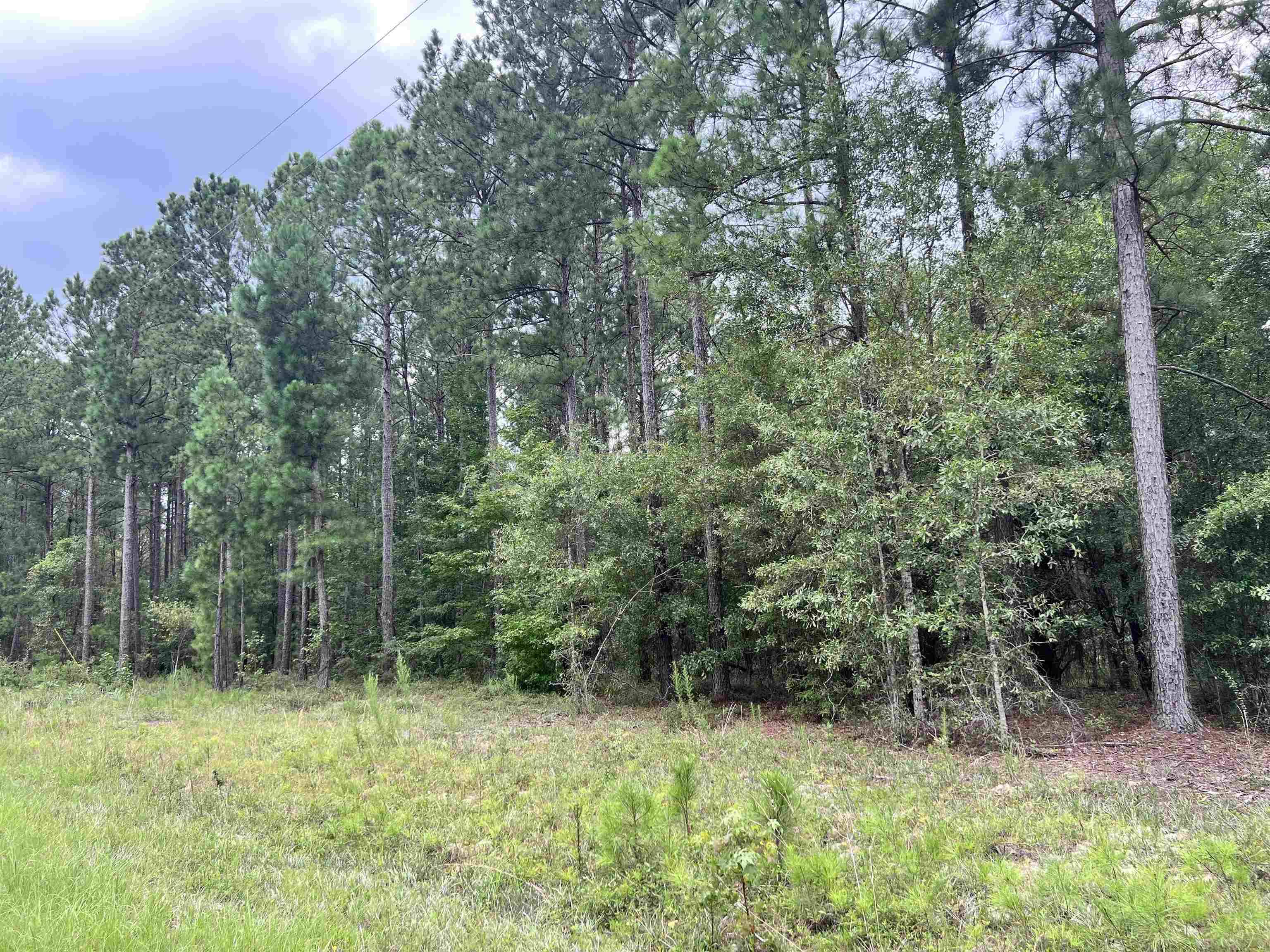 Dublin, GA 31021,LOT 39 Regina DR