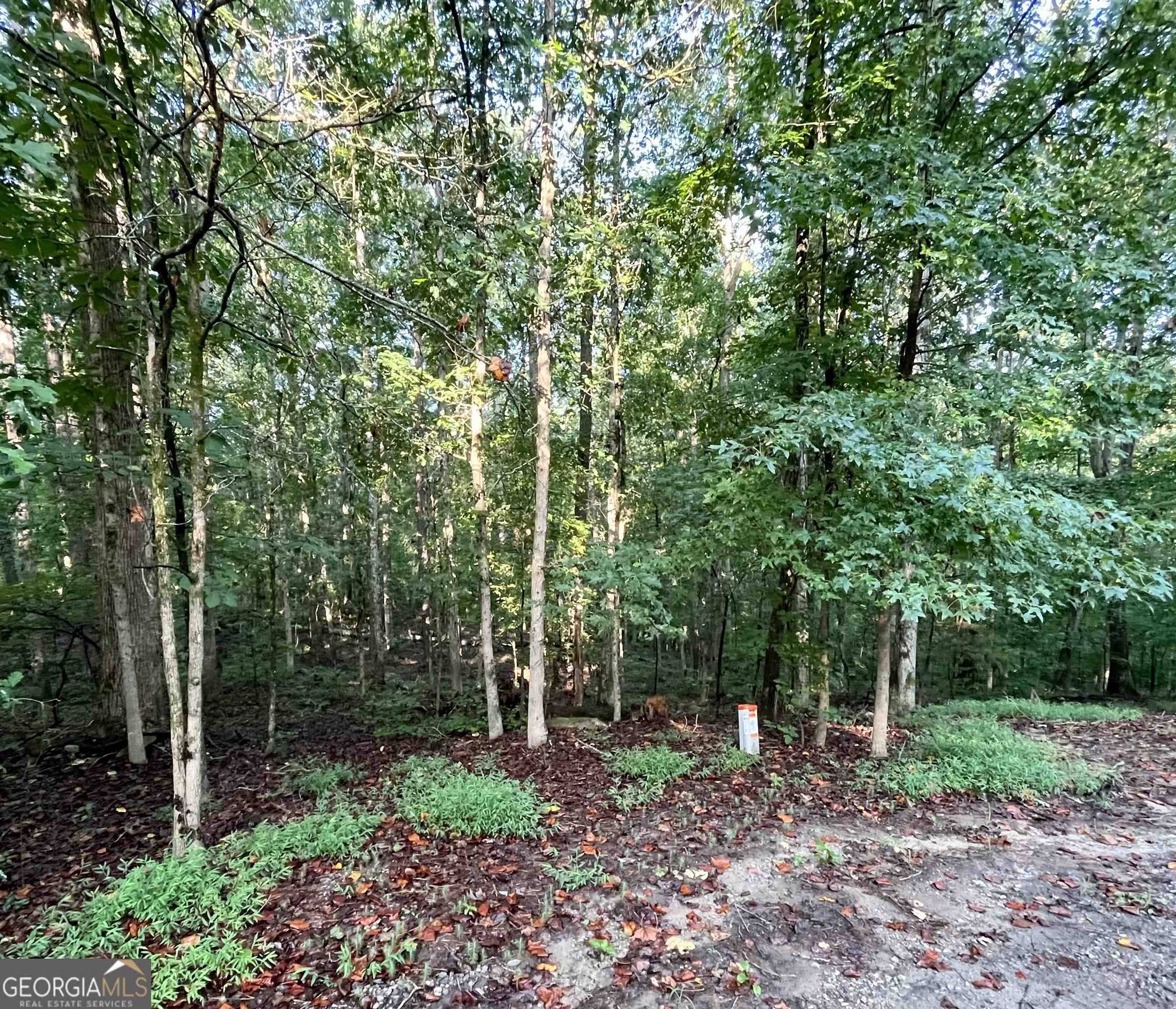 Monticello, GA 31064,0 Wren CT #LOT 84